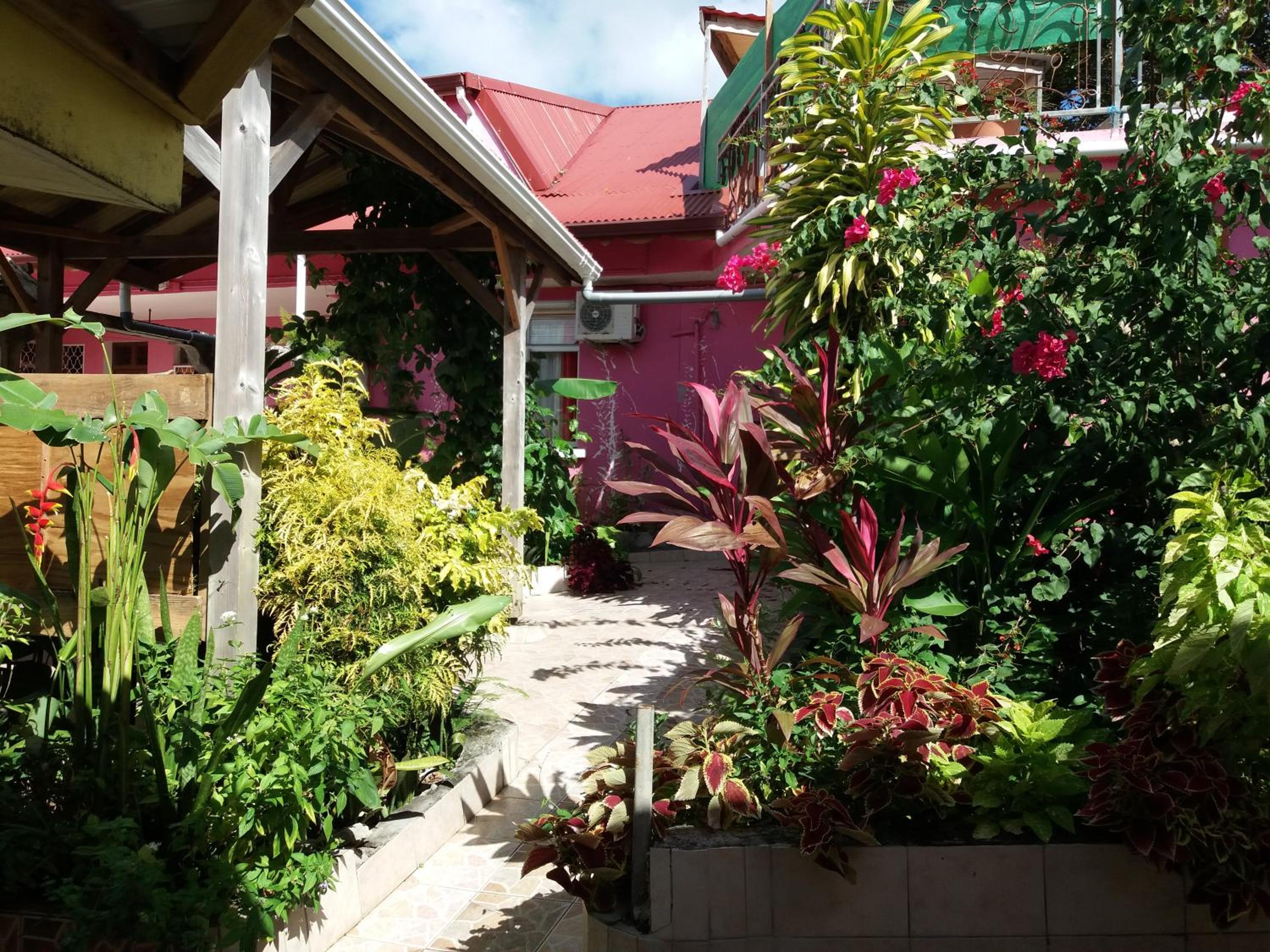 Photo 25