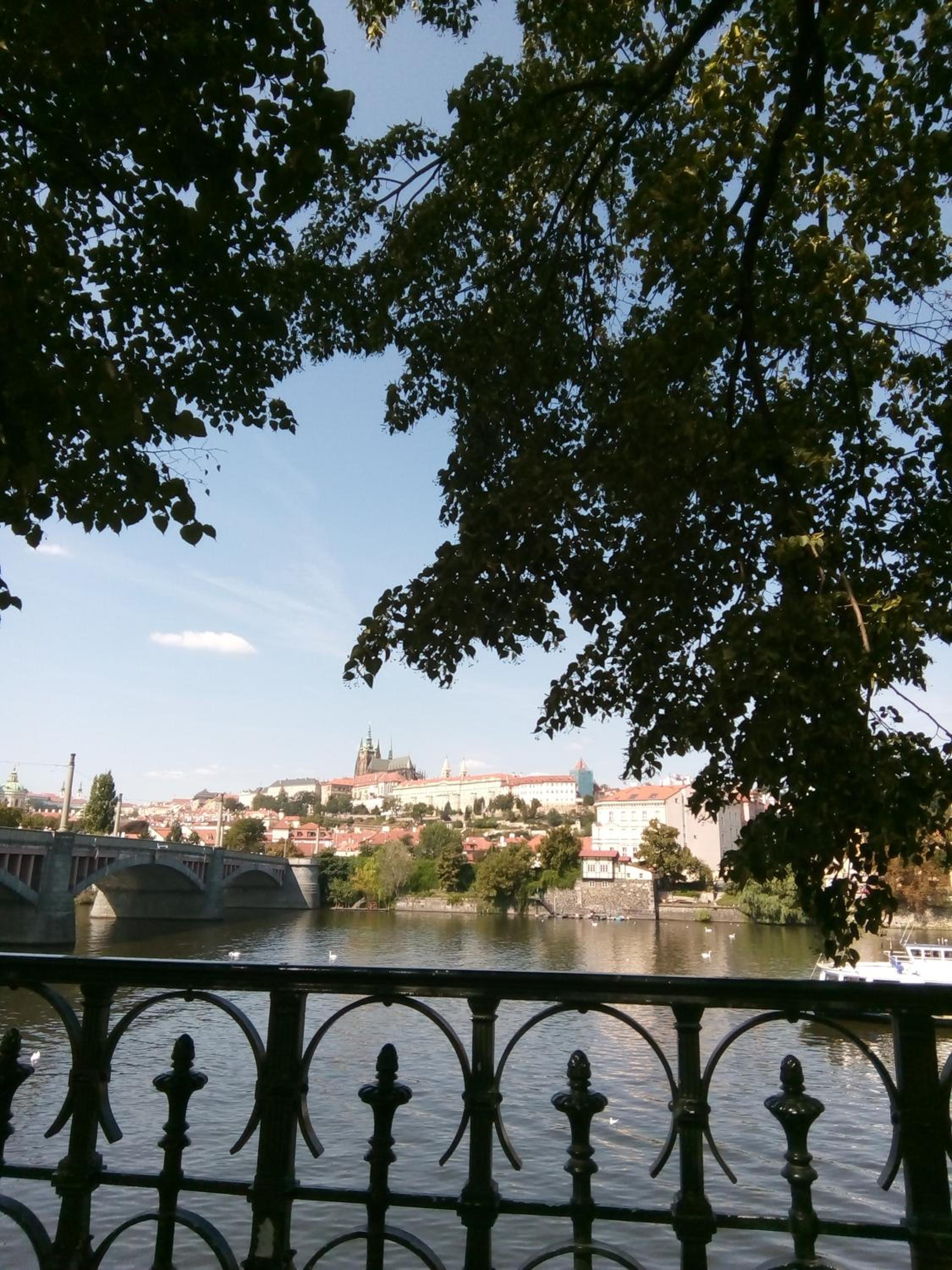 apartricanova