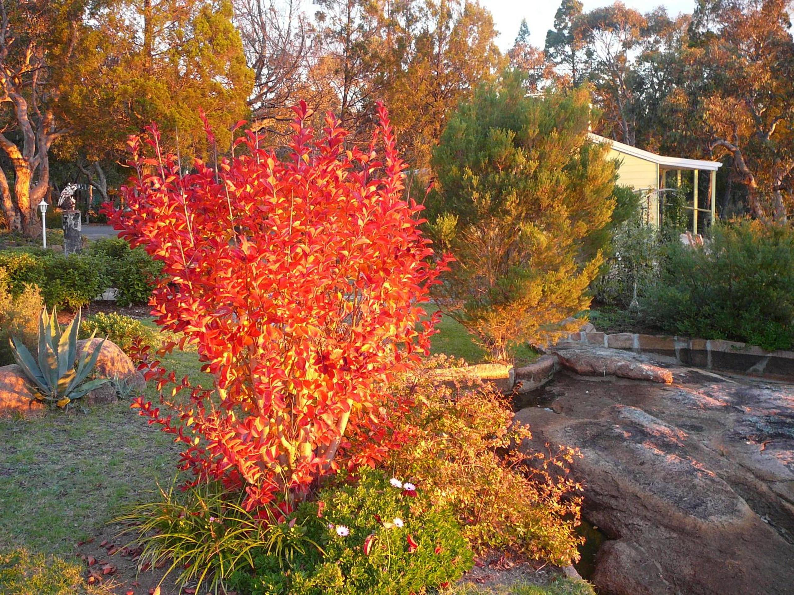 31 The Rocks