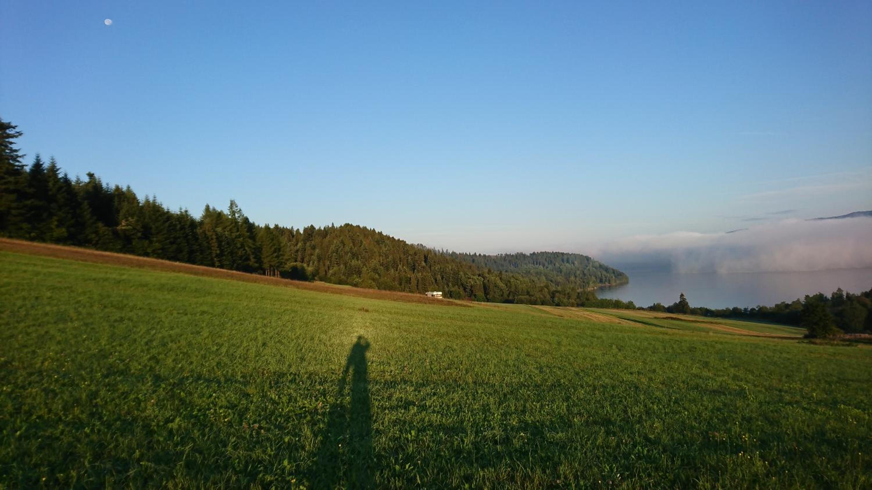 Tanie Noclegi Krysia Falsztyn