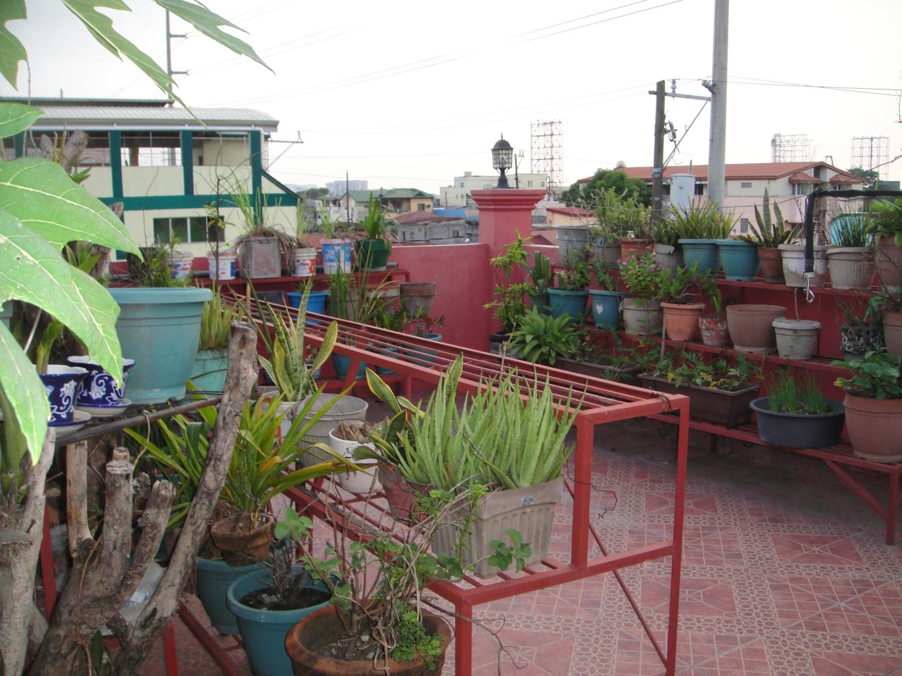 Photo 36