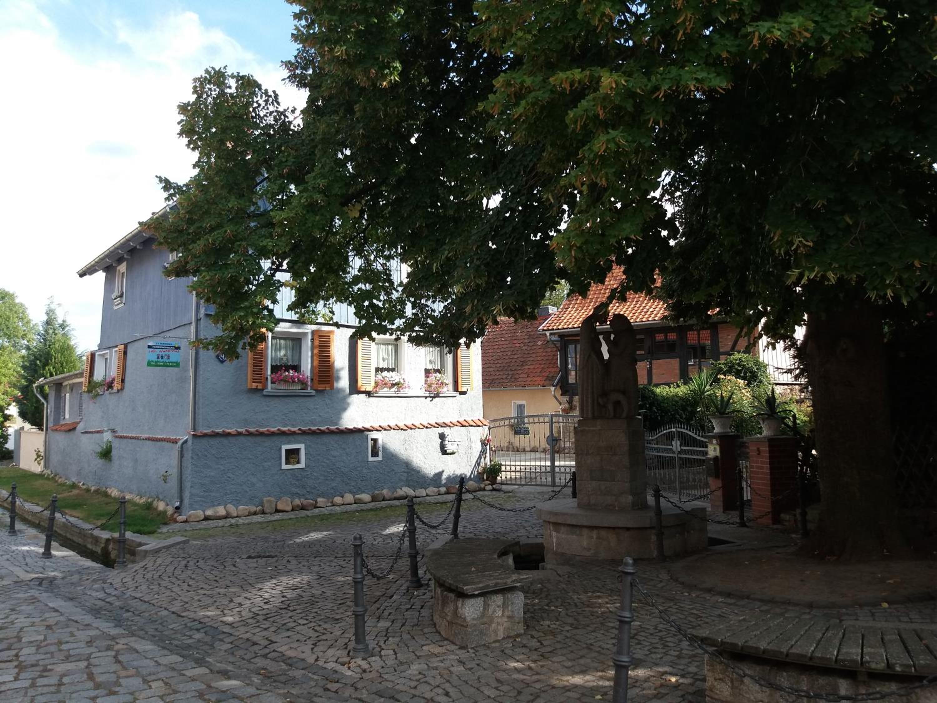 Photo 28