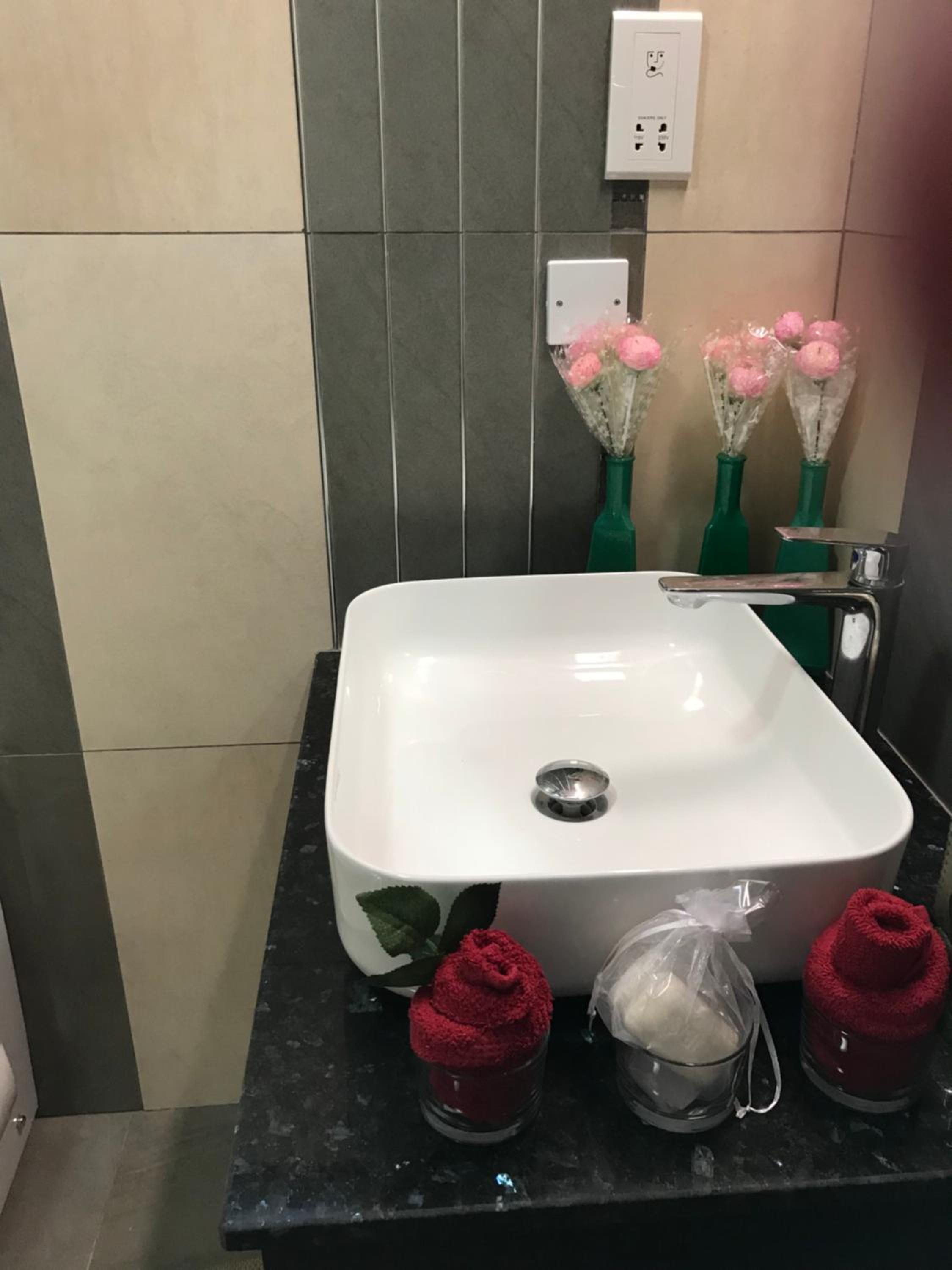 C-elena Suite