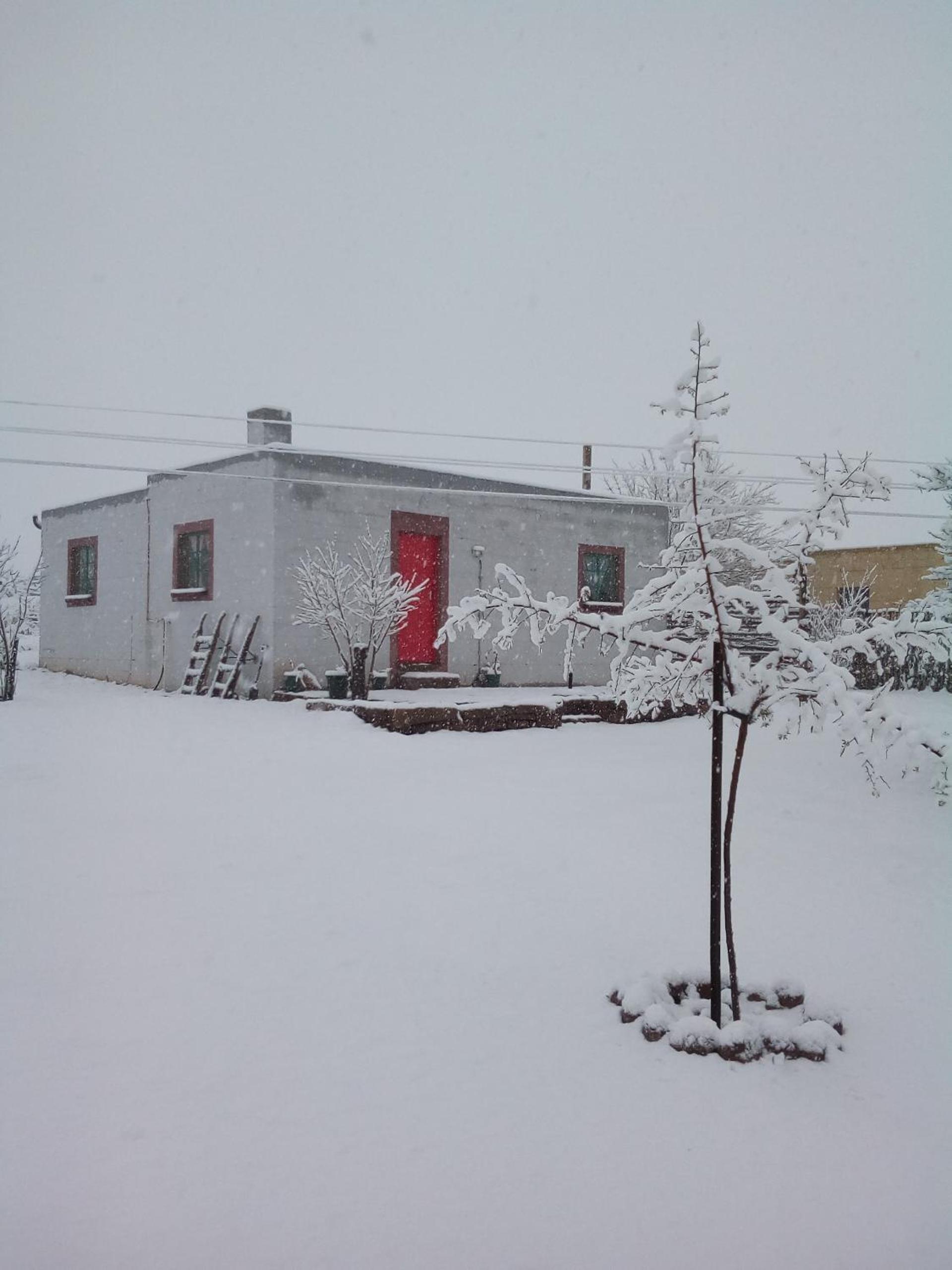 Photo 41
