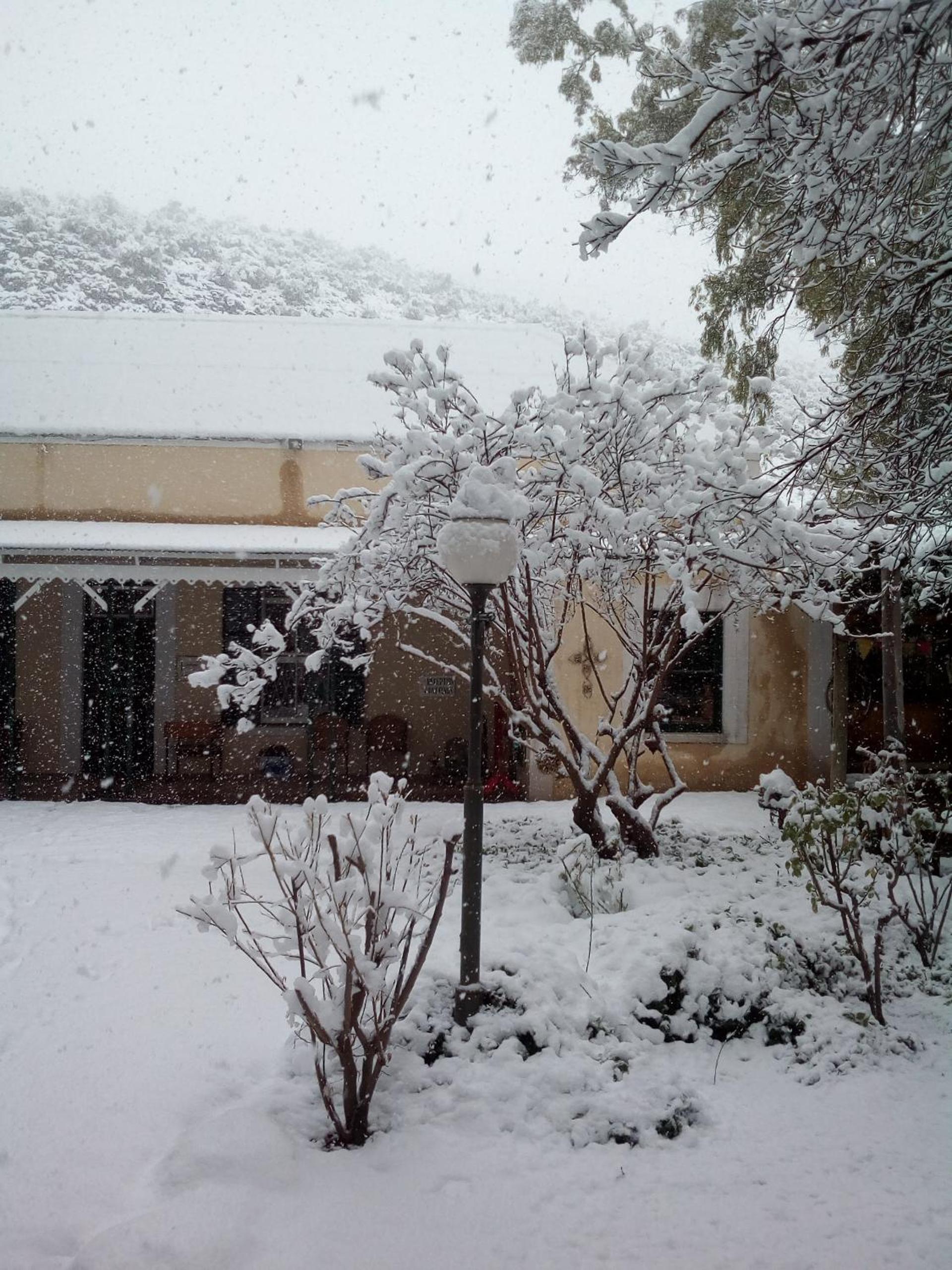 Photo 46