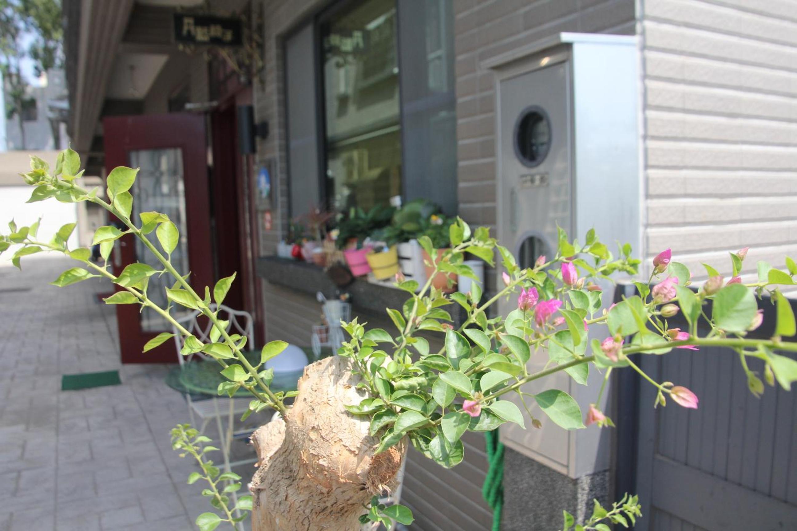 Photo 23