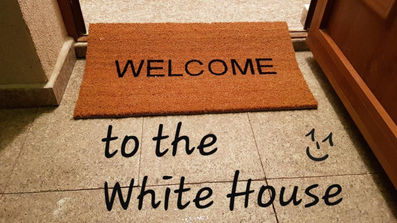 The White House Sofia