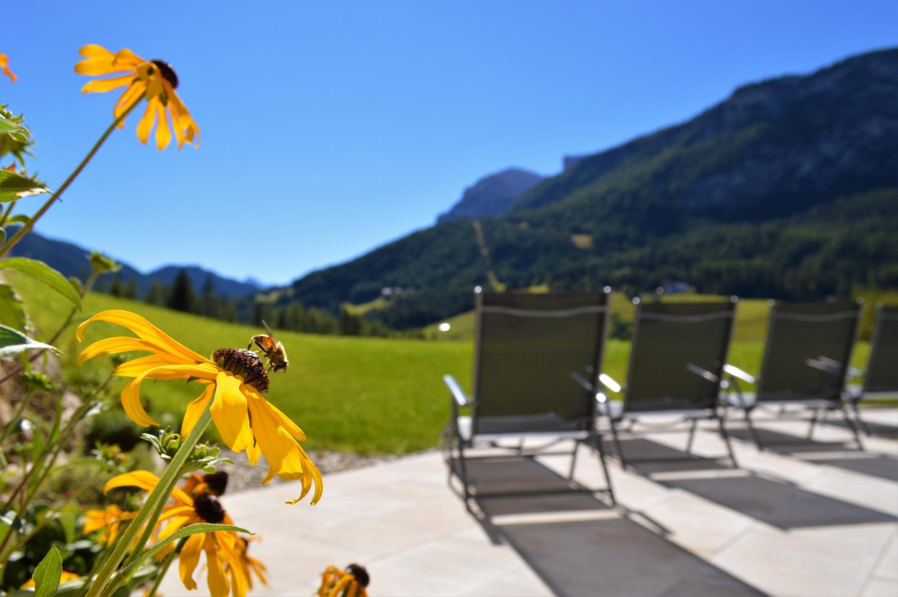 Agriturismo Anví view 2