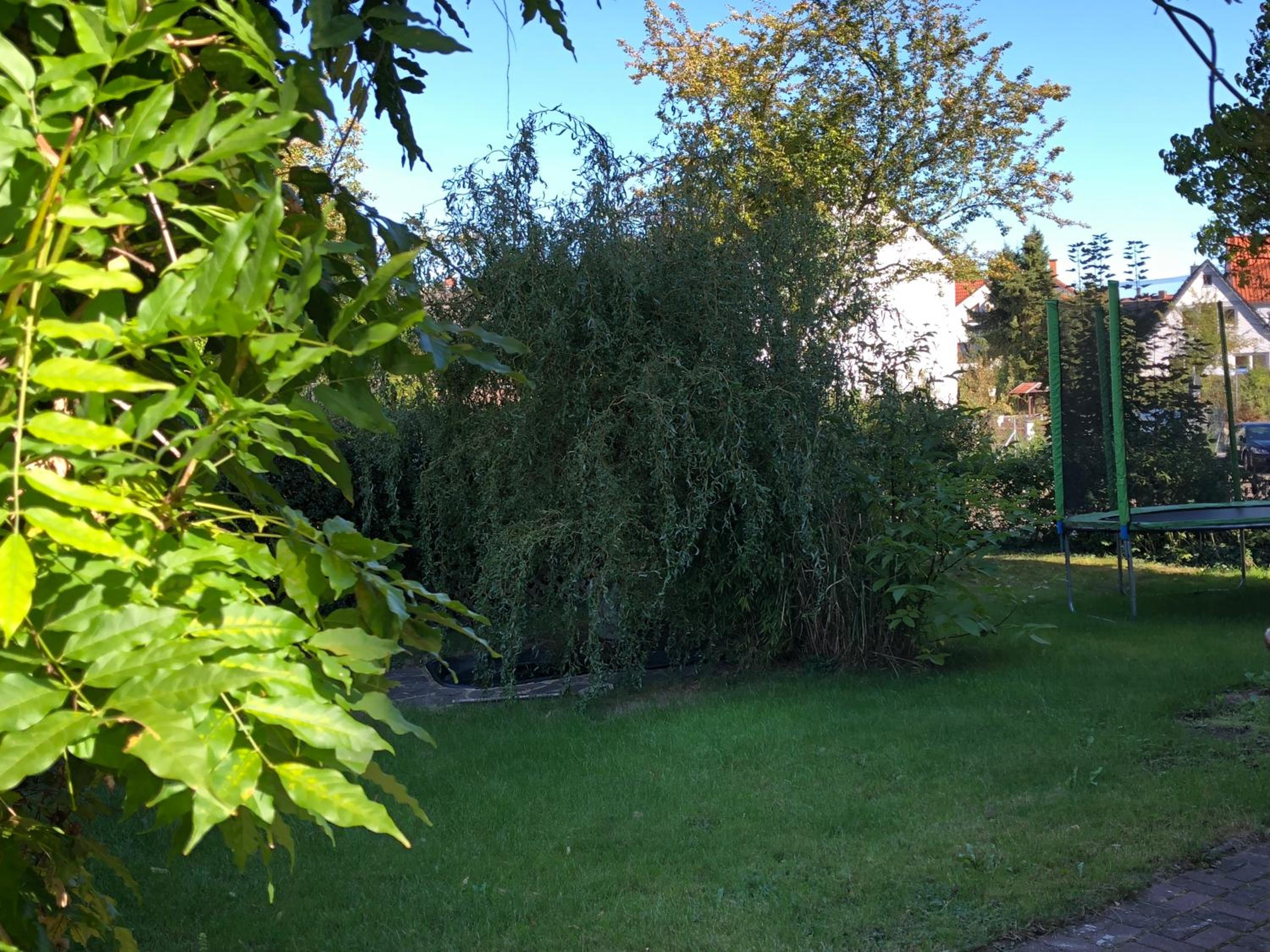 Photo 22