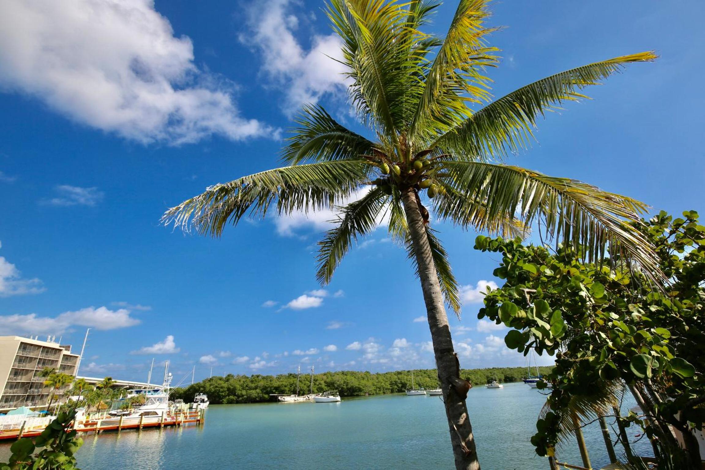 Gilbert's Resort & Marina