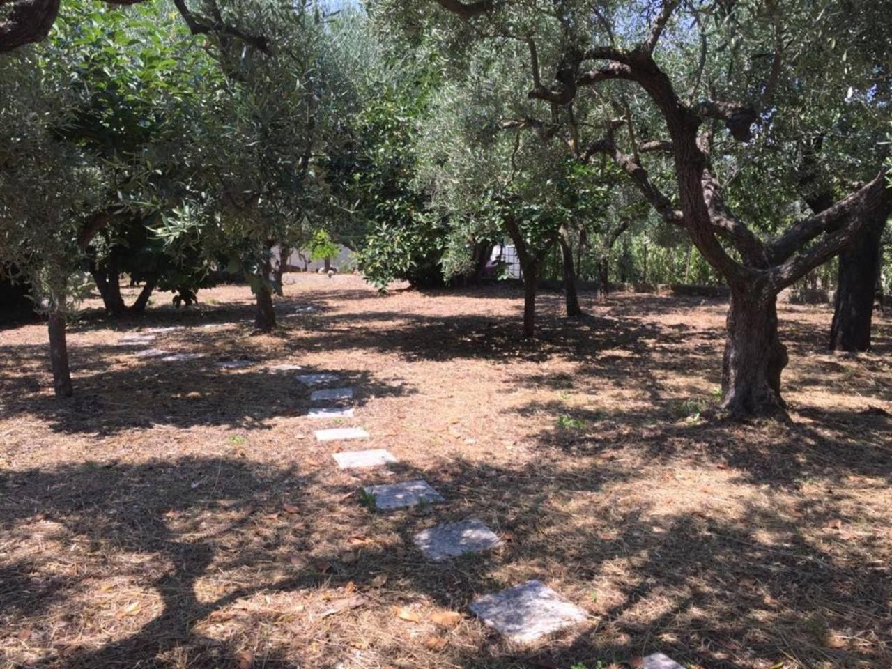 Photo 21