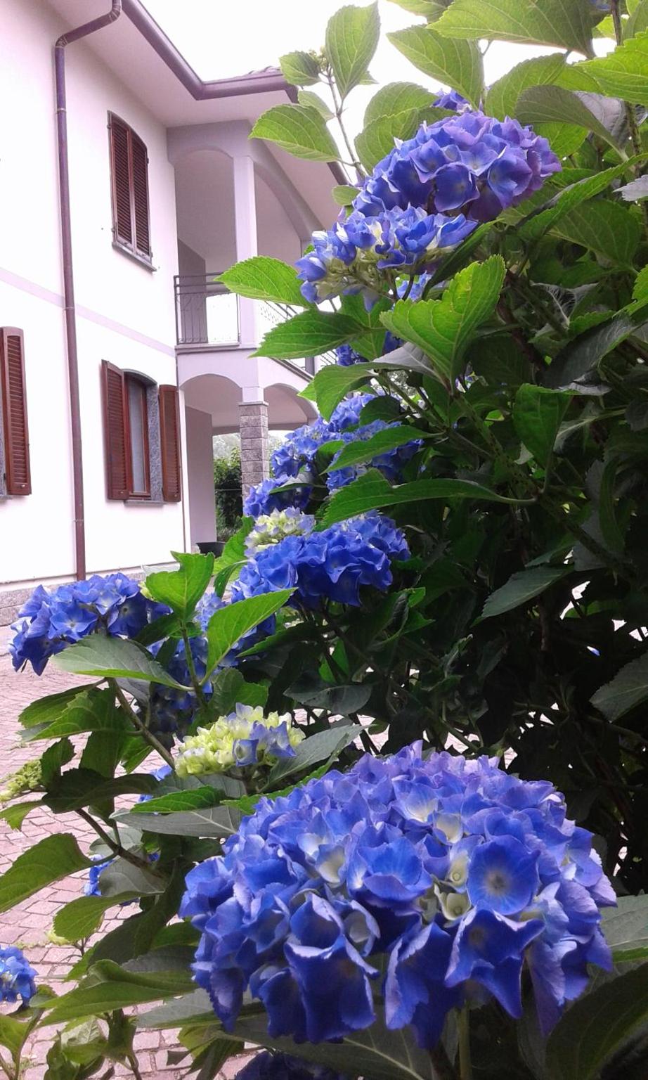 Photo 38