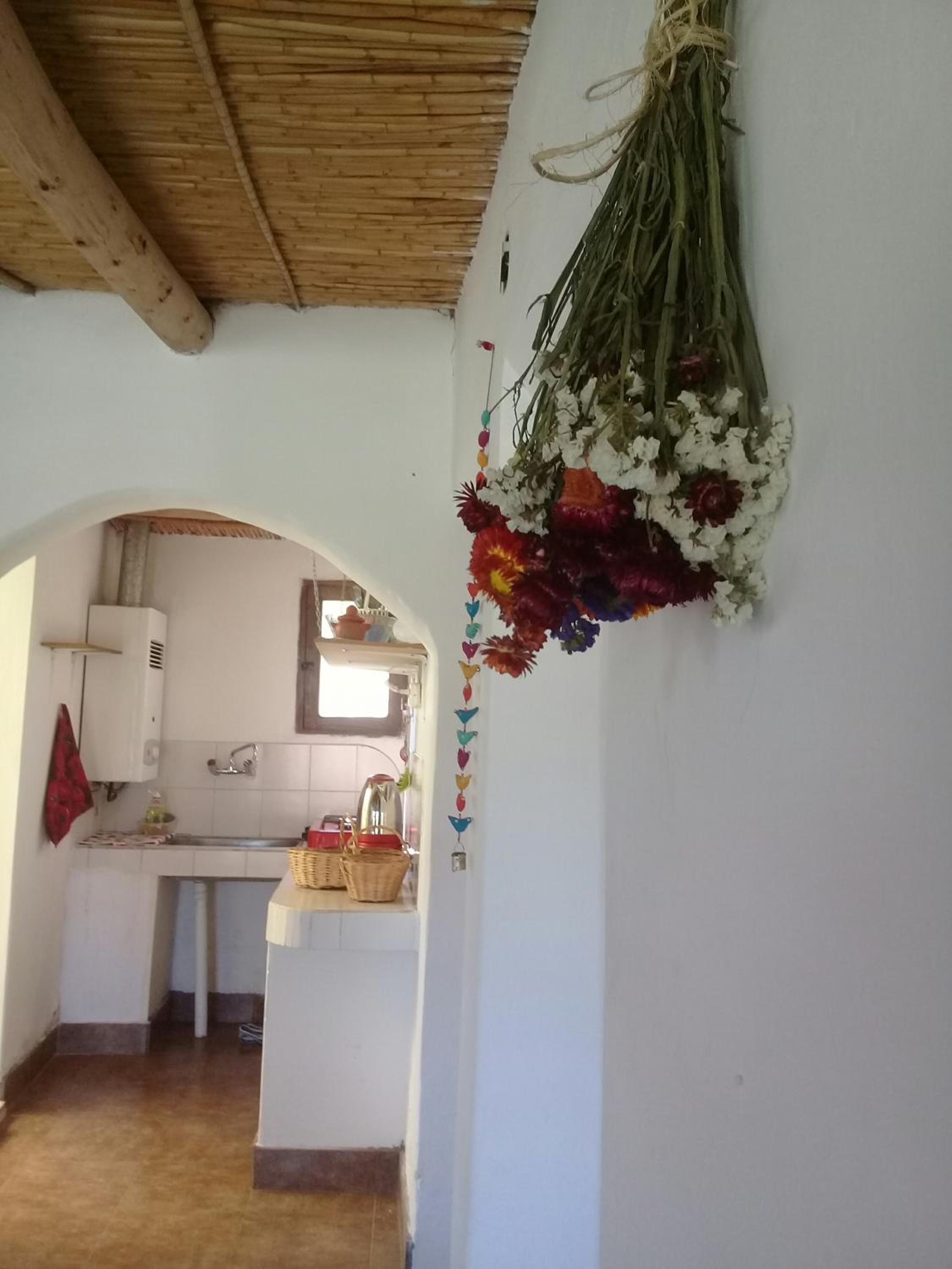Cabaña El Cardón,casita en el campo quebradeño