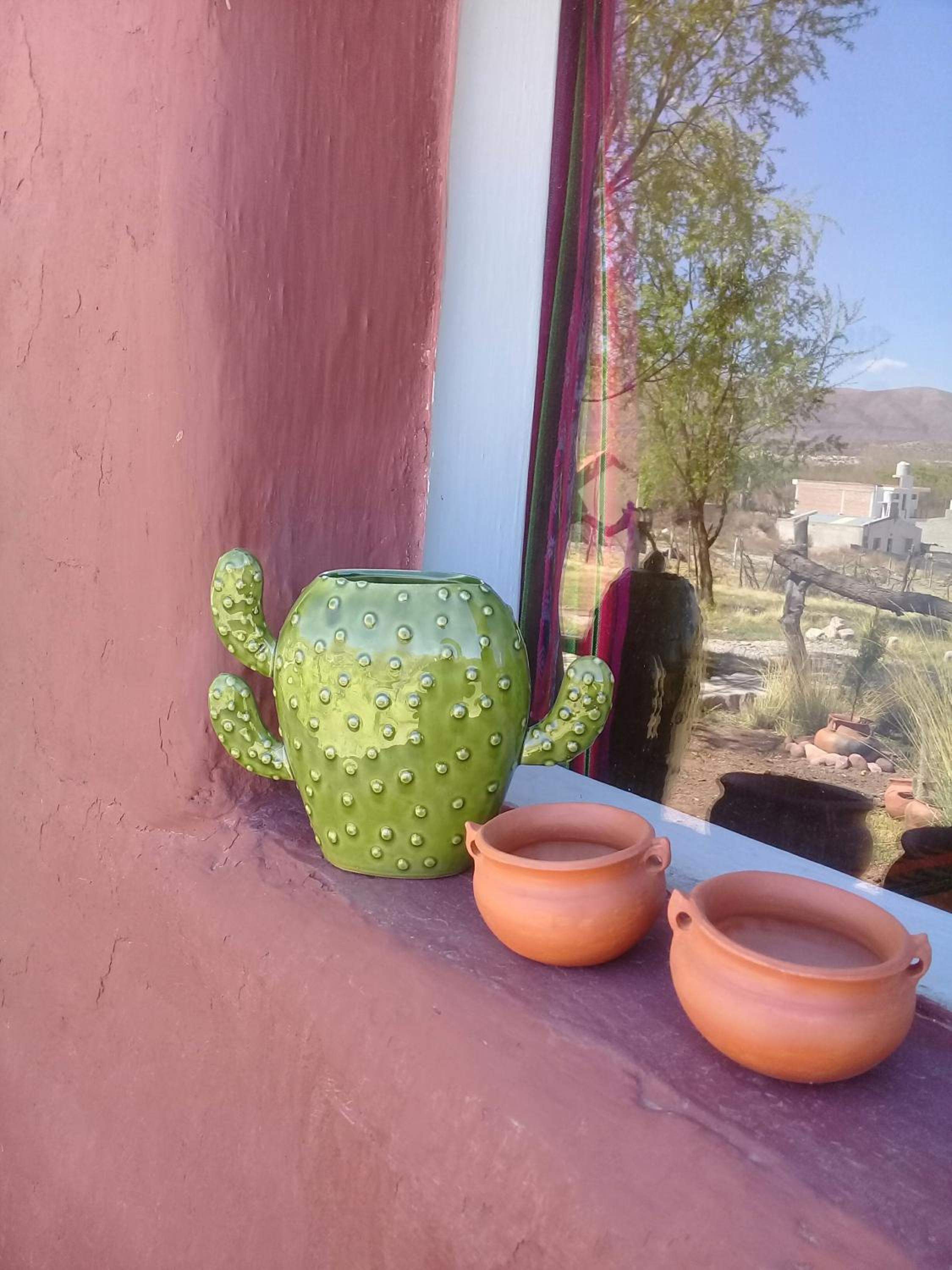 Cabaña El Cardón,casita en el campo quebradeño
