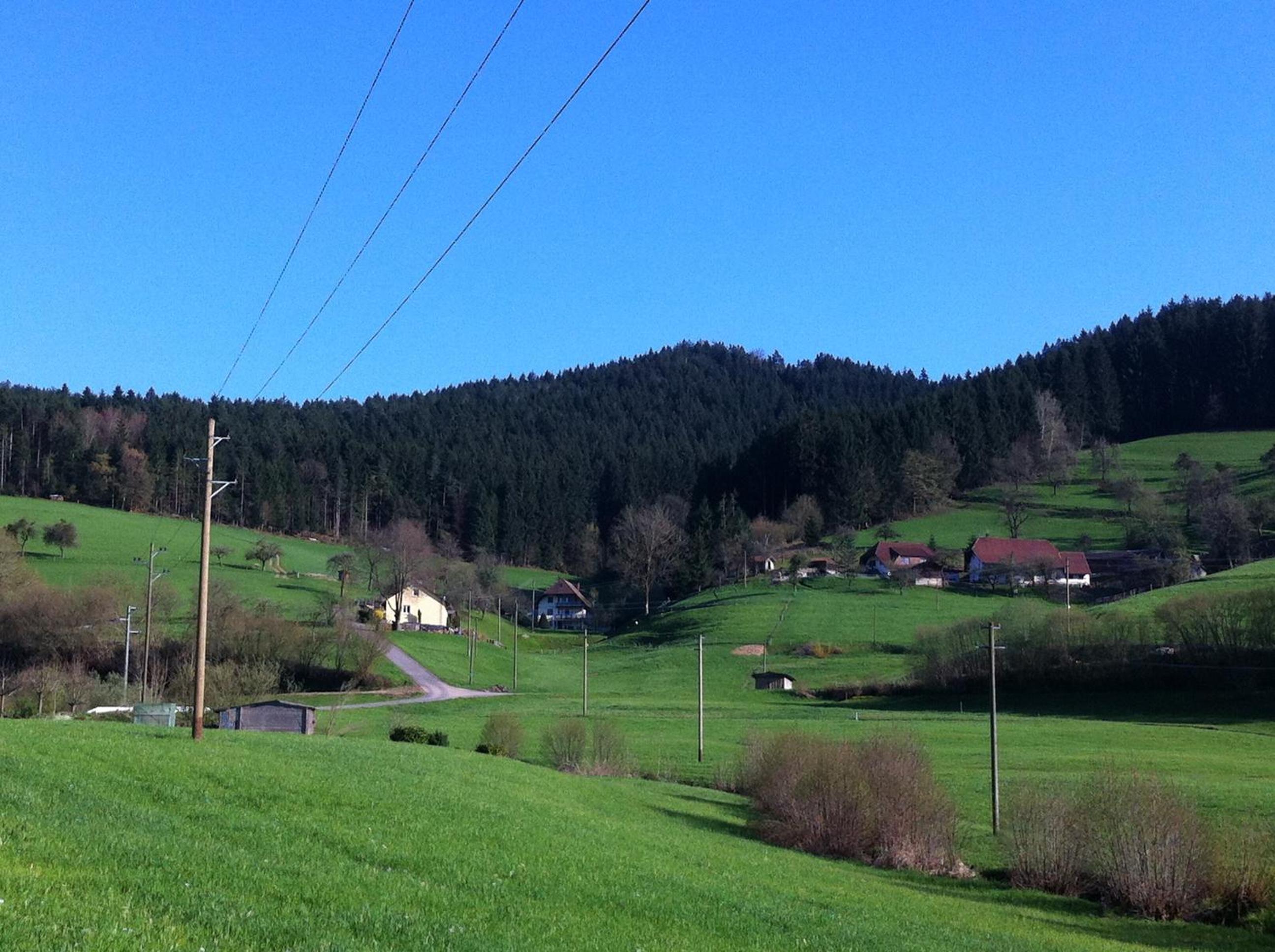Gasthof Richebächli