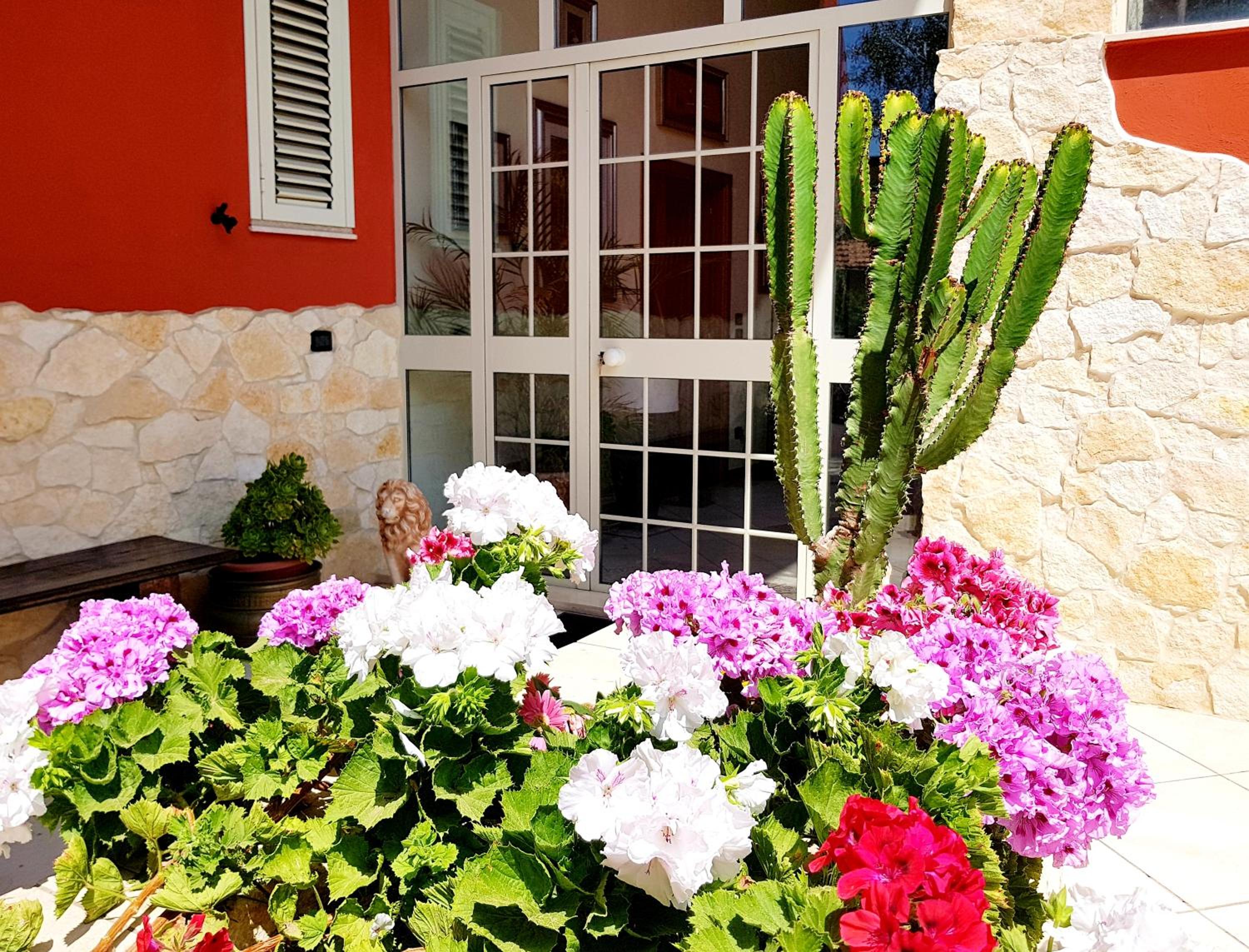B&B Welcome en Pedara