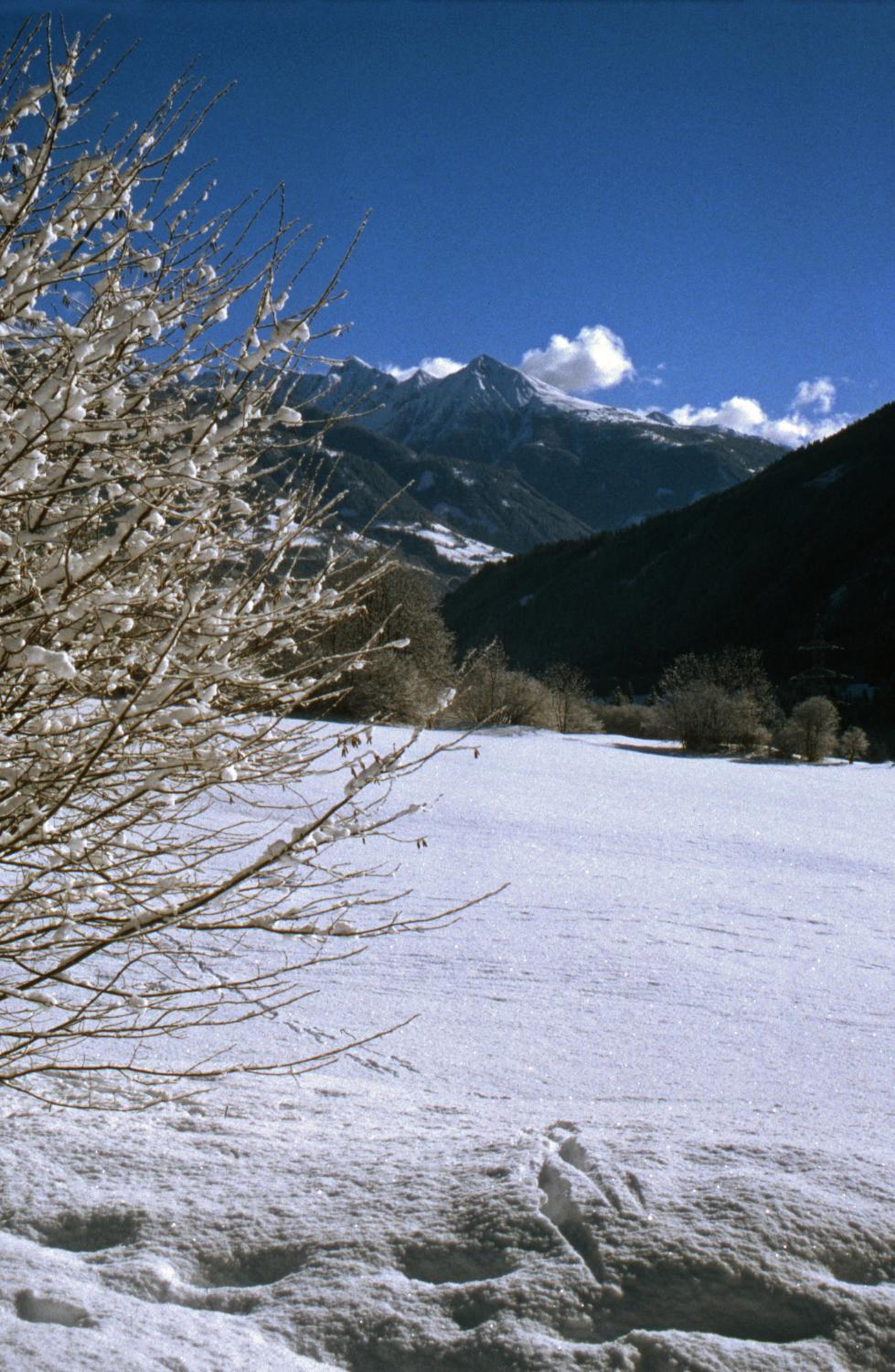 Haus Hasslacher