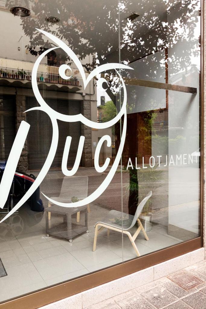 Duc Allotjament photo 5