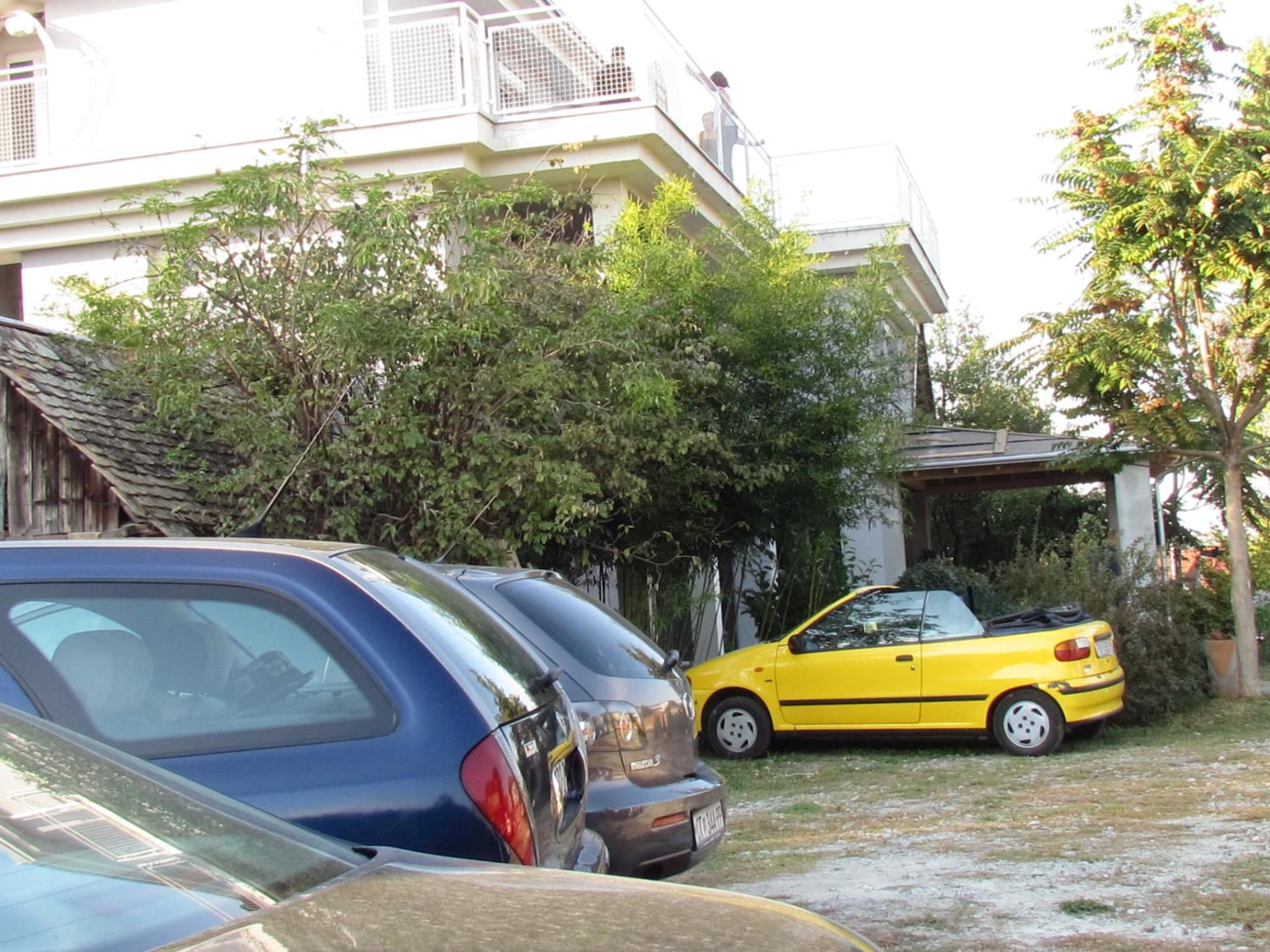 Photo 41