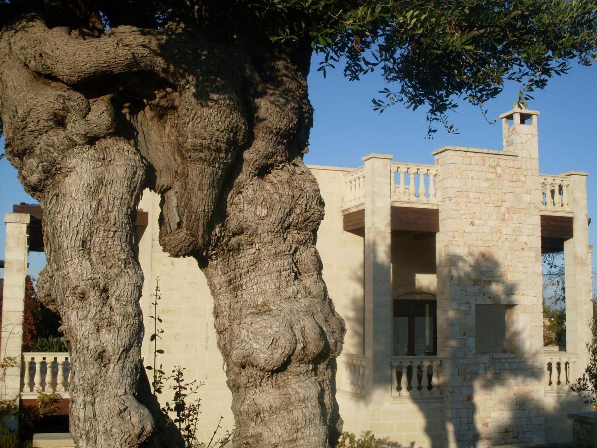 Villa Pugliese by maresolePUGLIA