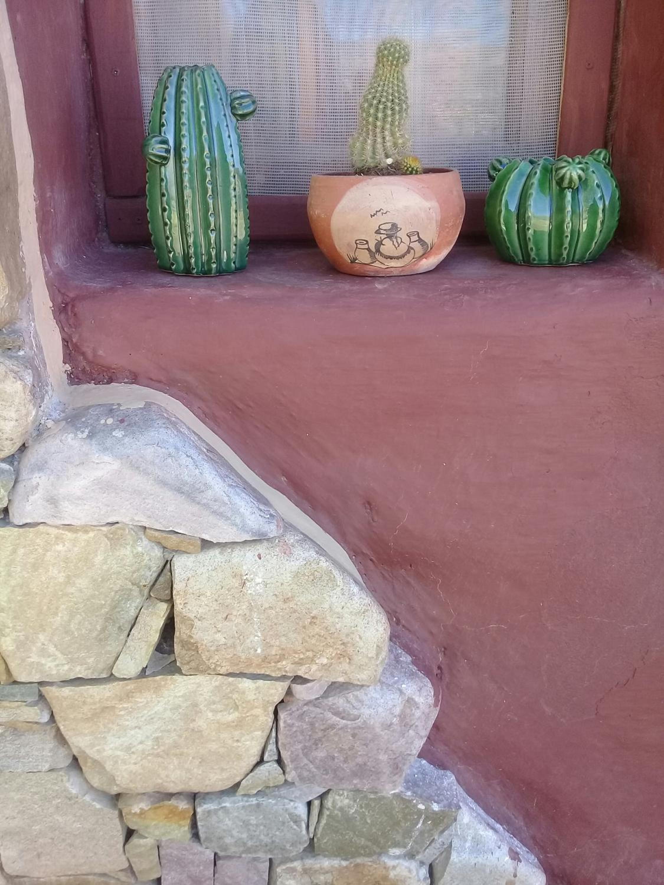 Cabaña El Cardón,casita en el campo quebradeño