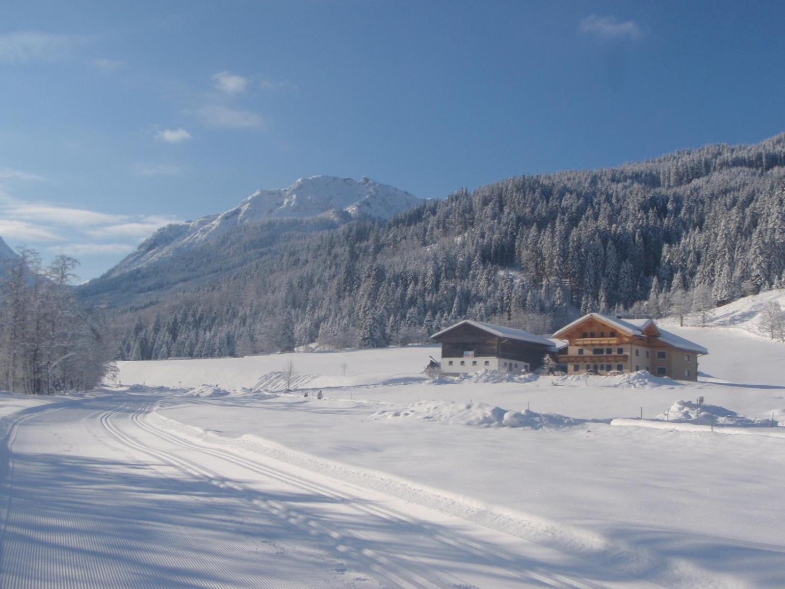 ARCHE Hof Öbristhof view 5