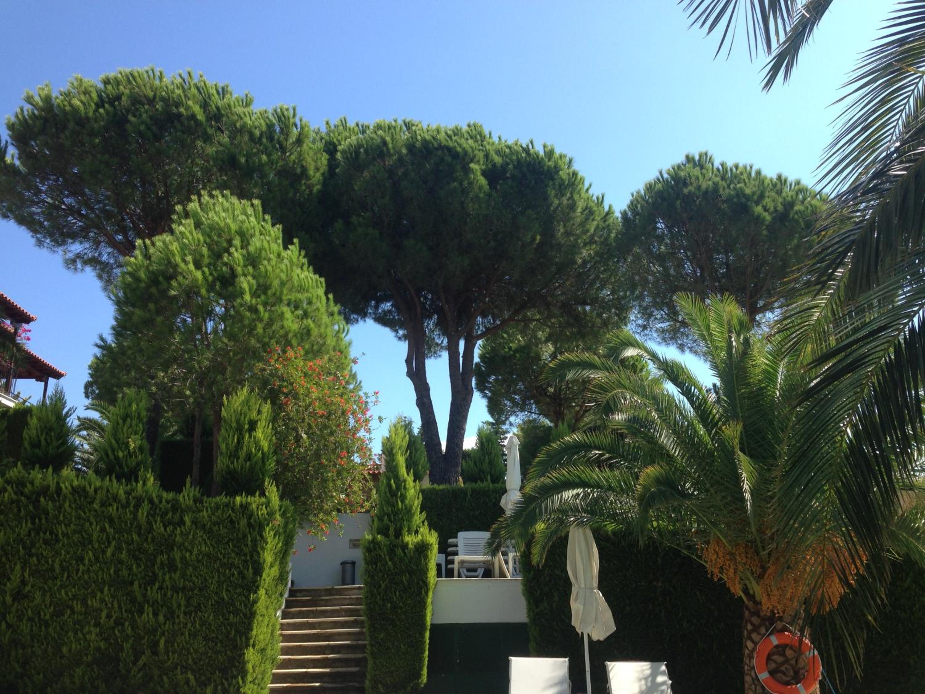 Villa POLYTIMI view 5