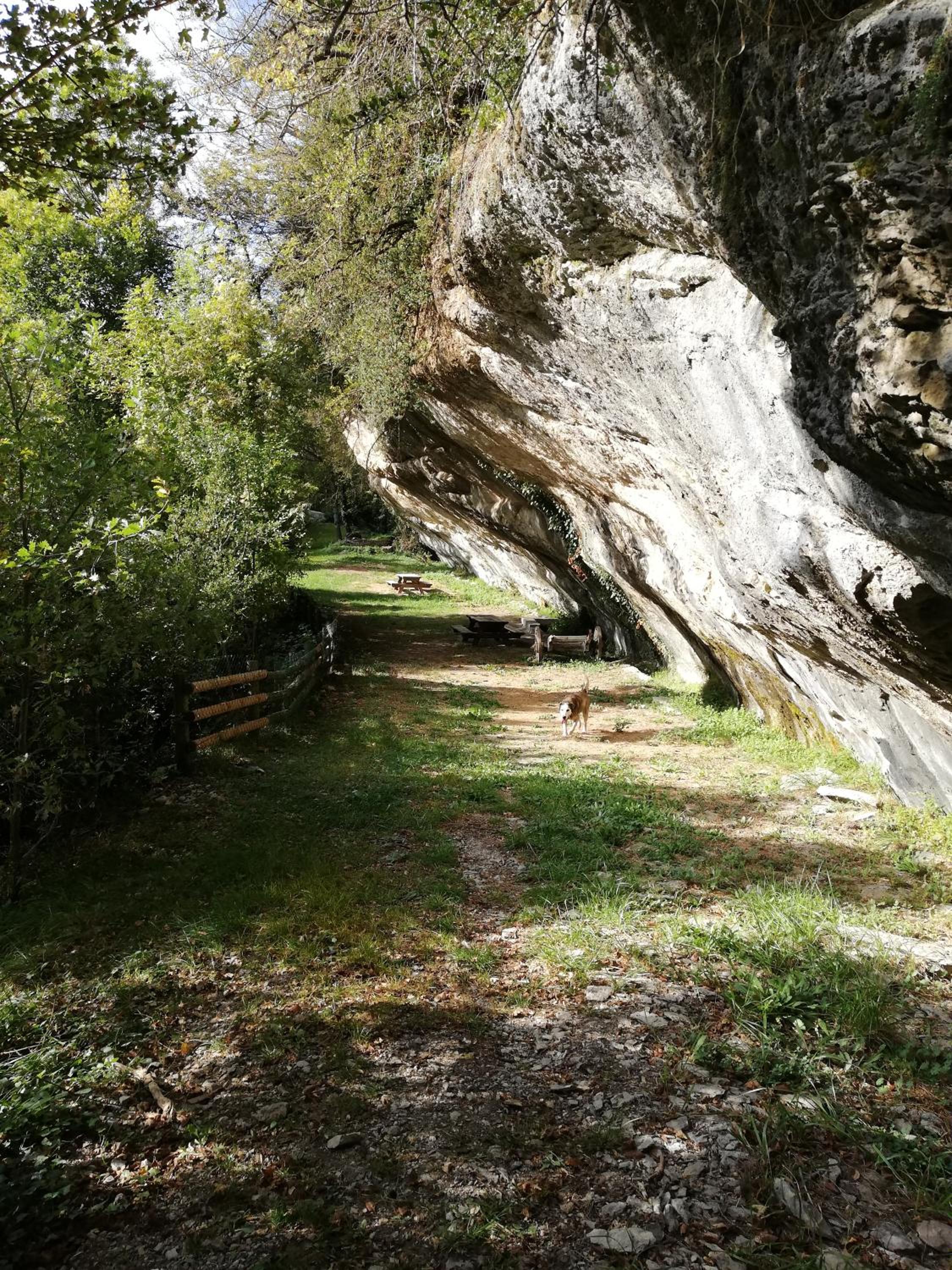 Photo 17