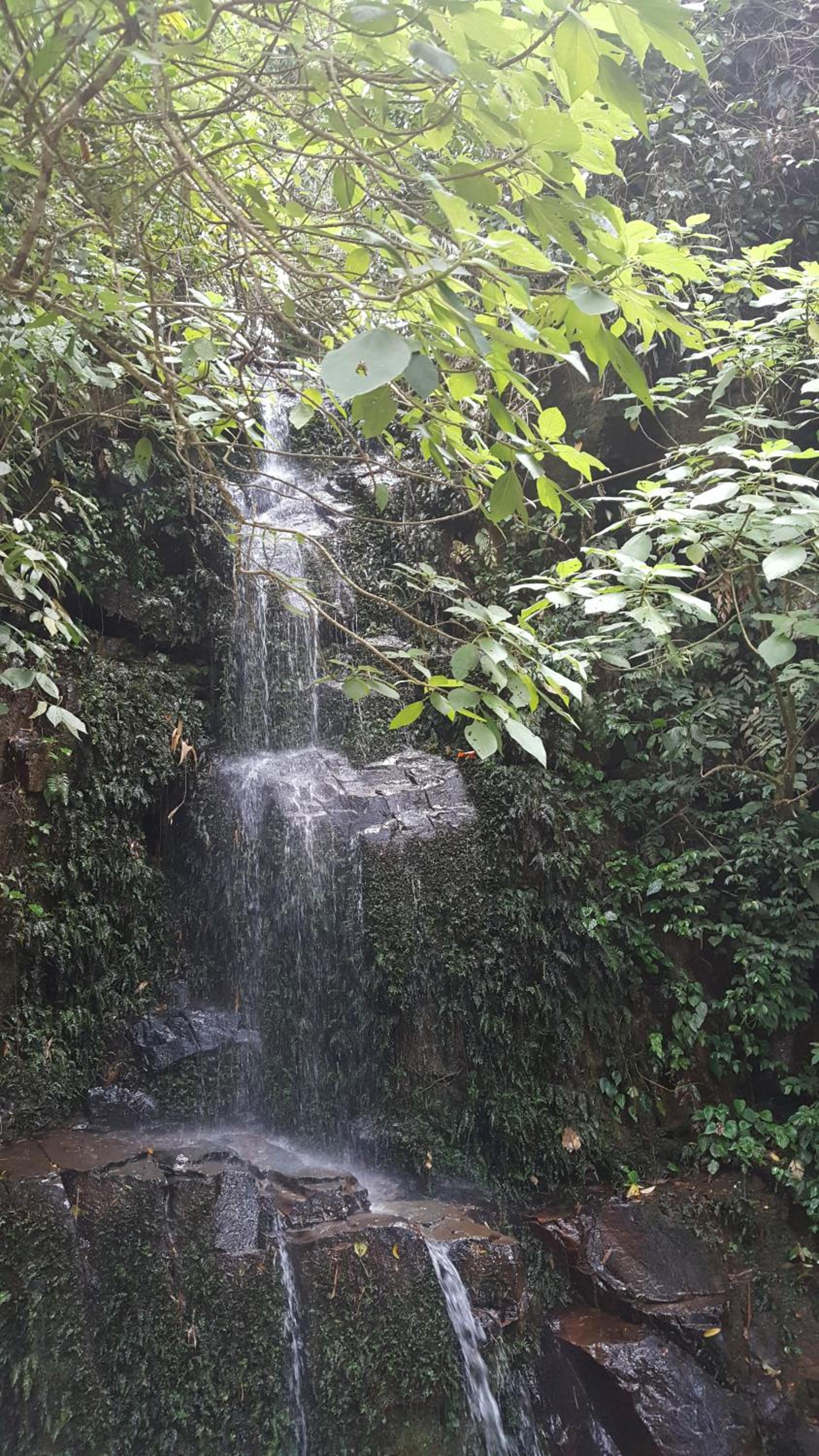 Harmonia Flat Particular Ilhabela