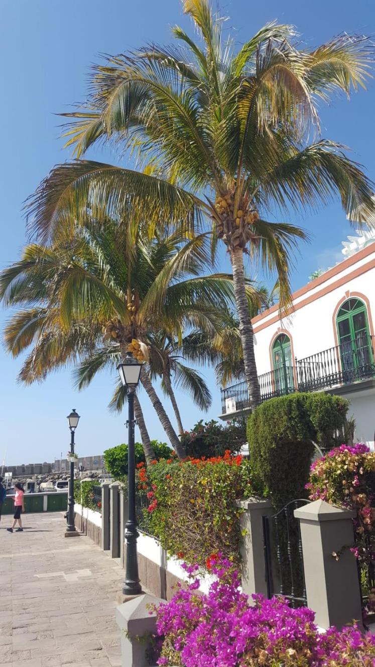 Casa Little Venice in Puerto de Mogan view 3