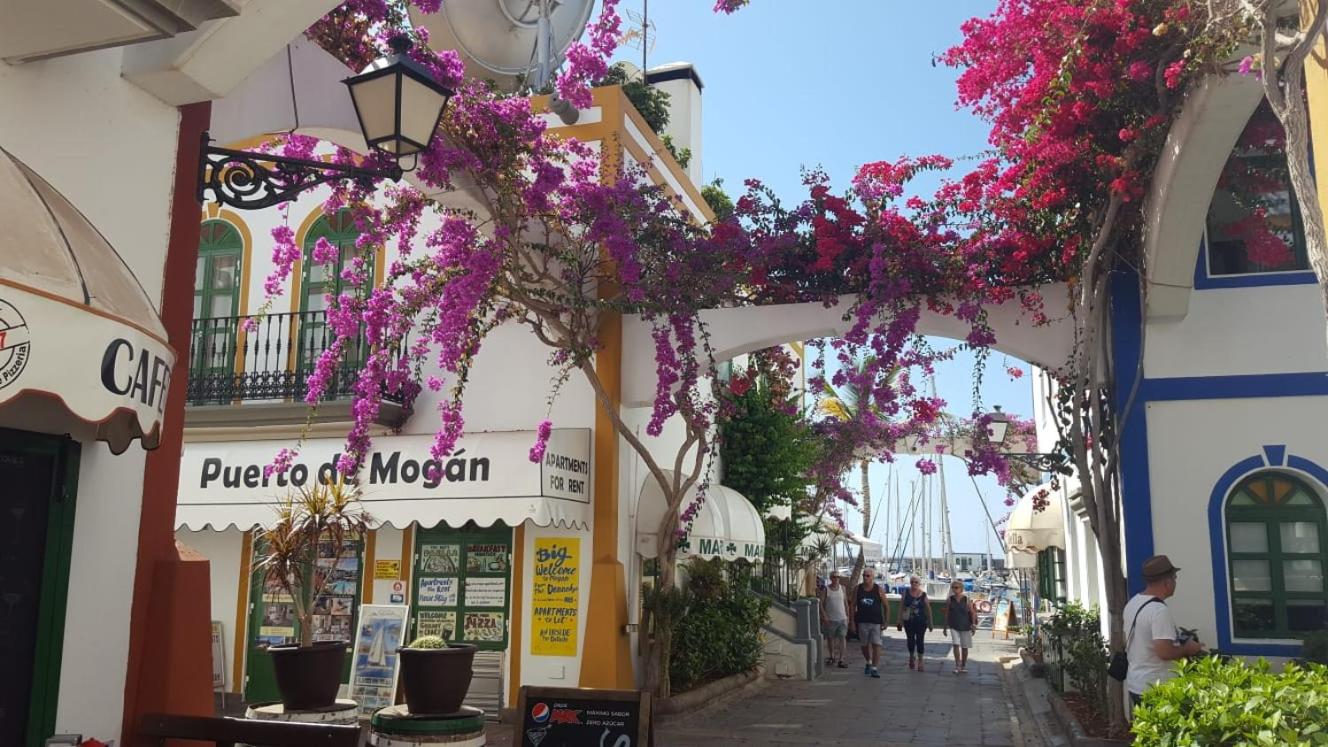 Casa Little Venice in Puerto de Mogan view 4