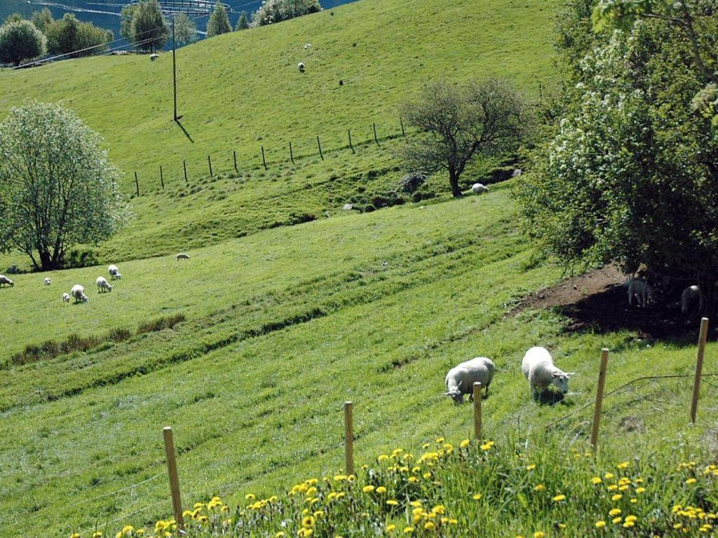 Photo 46