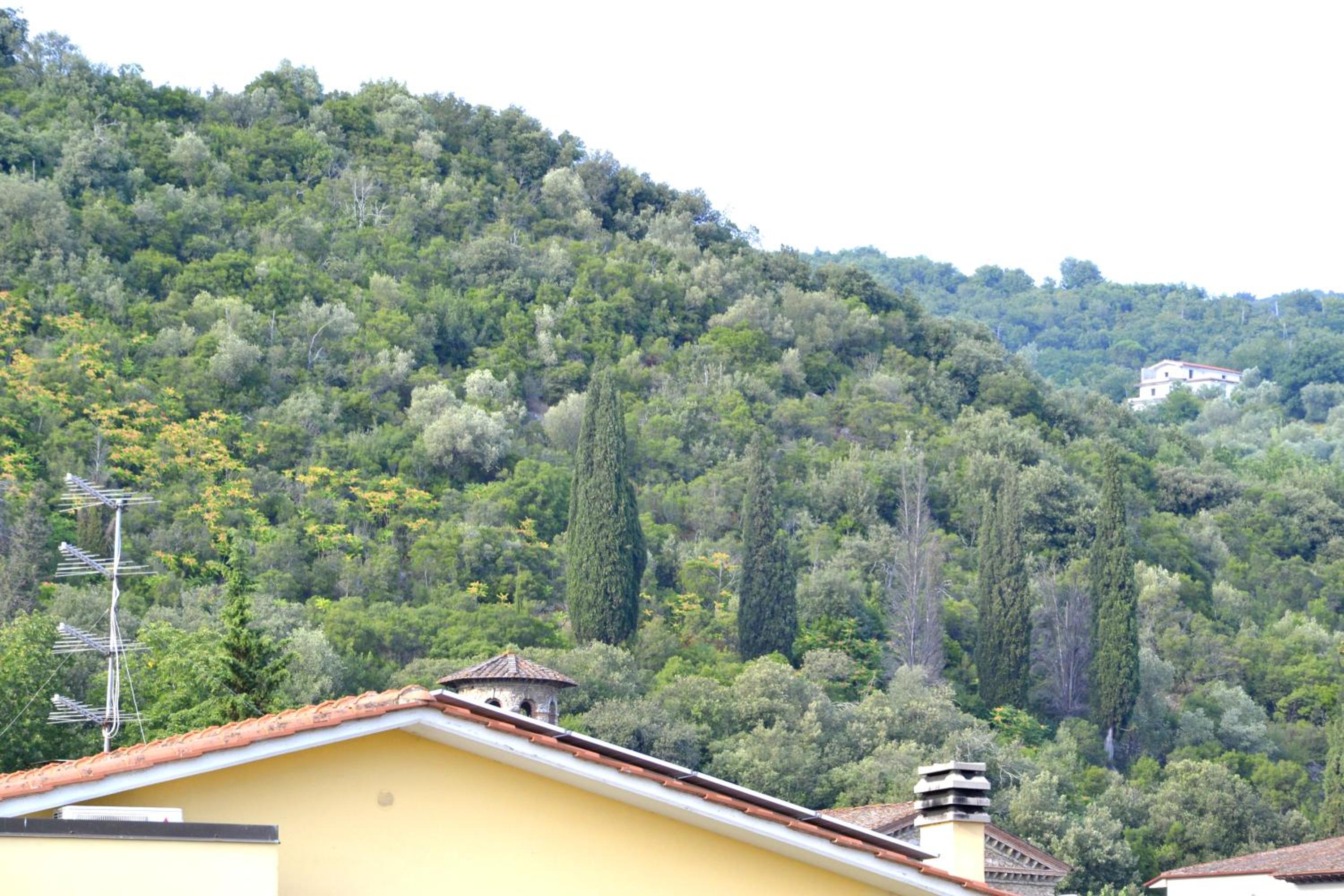 Il Pettirosso view 5