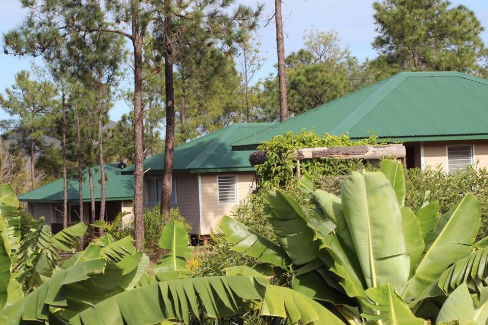Le Gîte du Koniambo