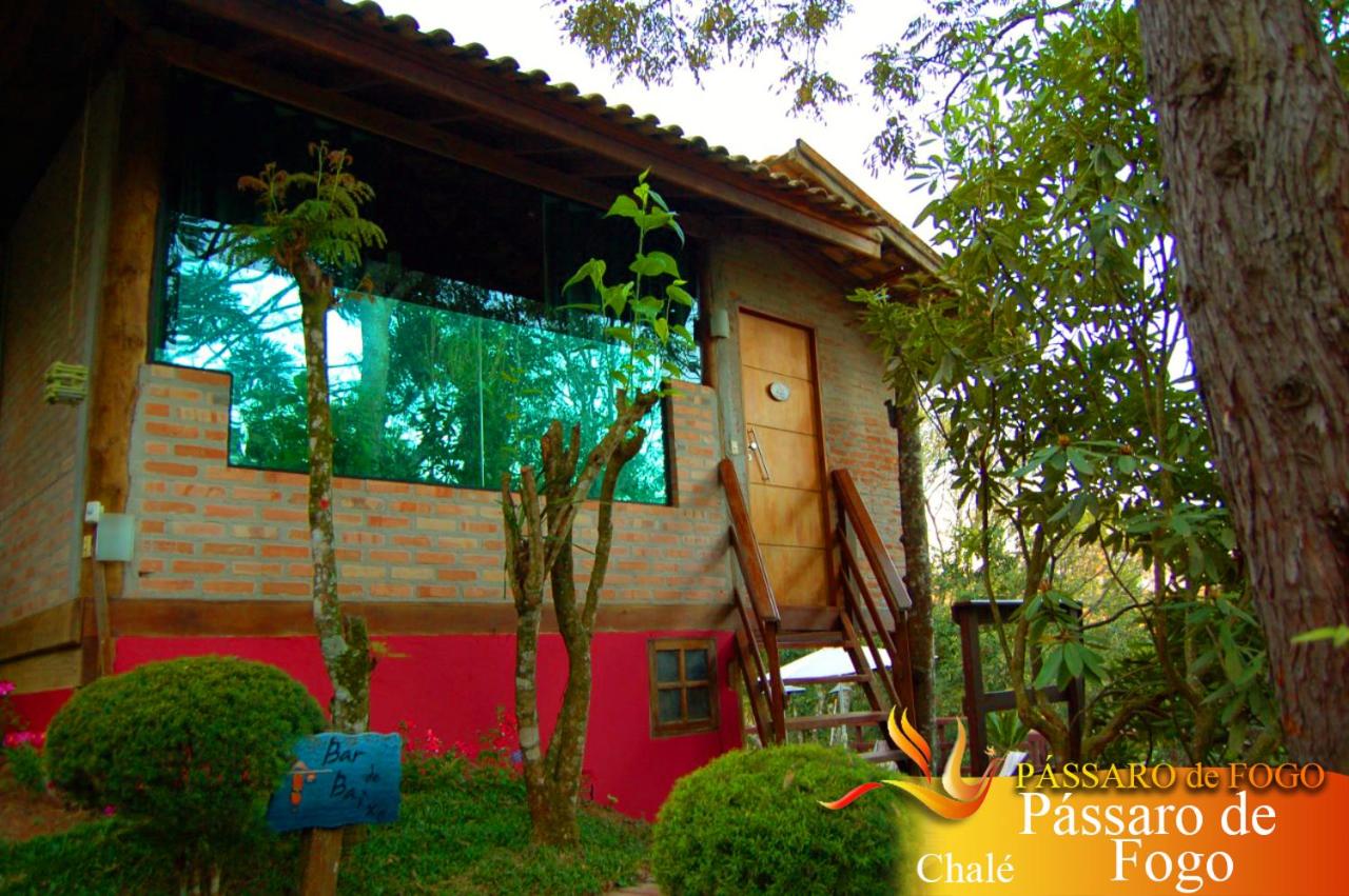 Pássaro de Fogo