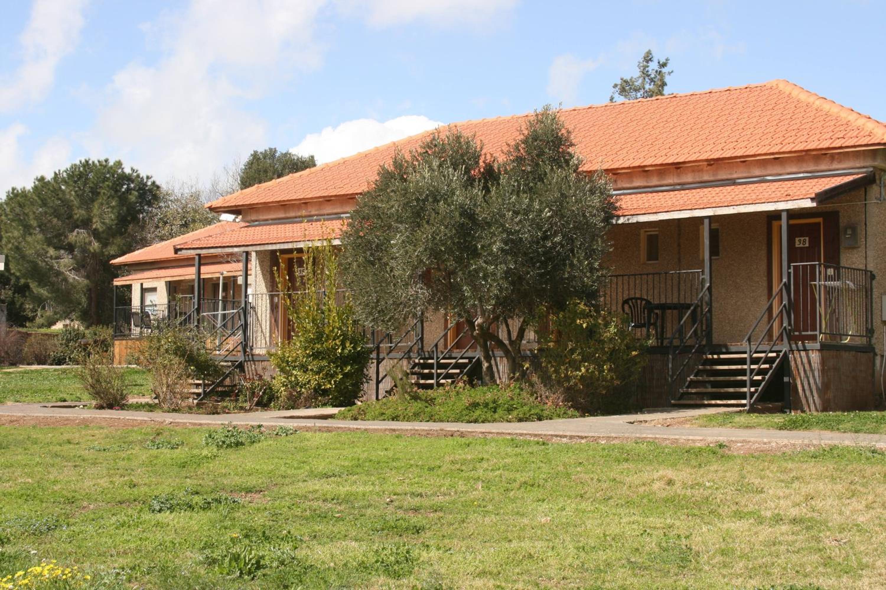 Photo 42
