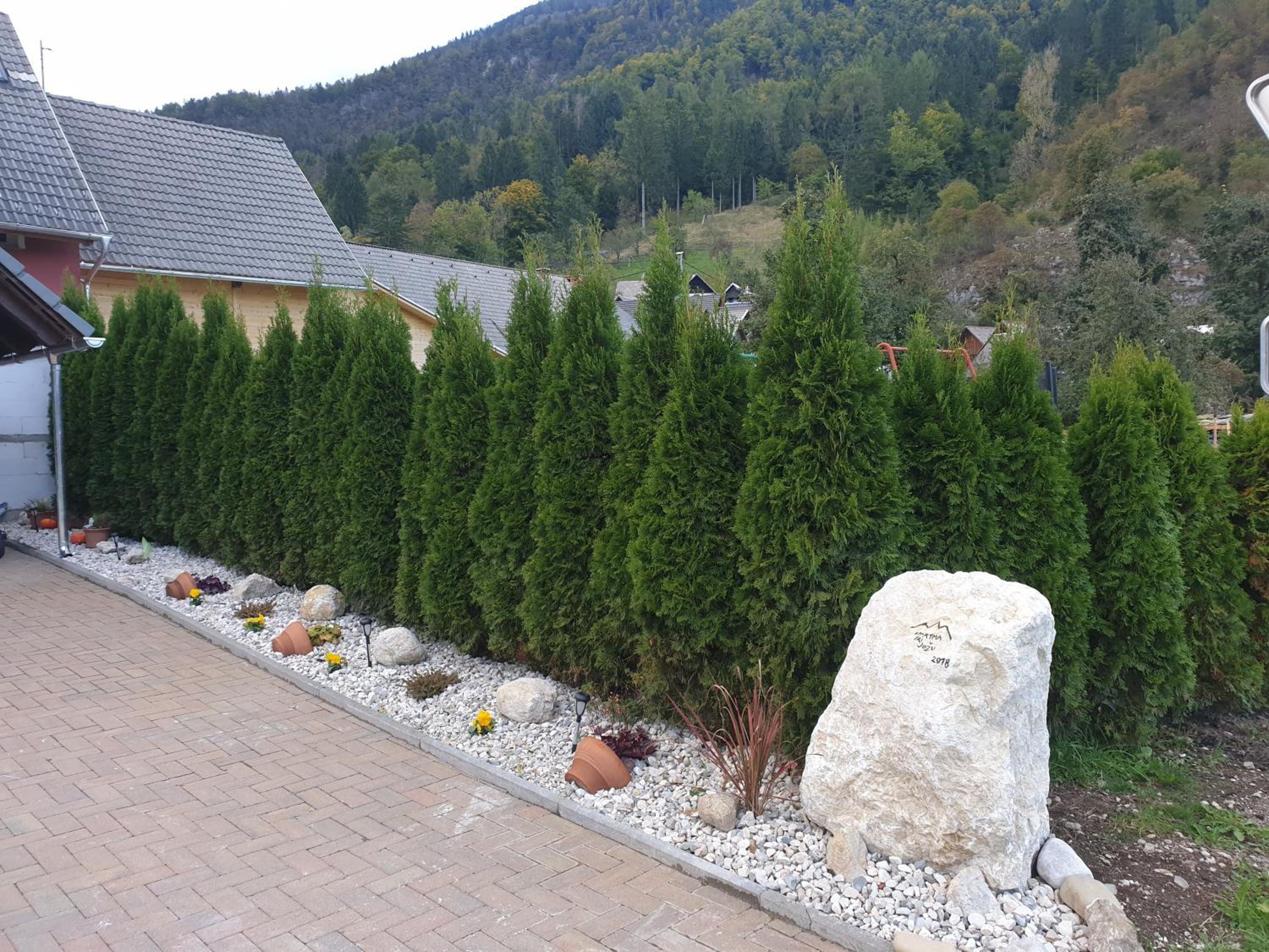 Photo 43