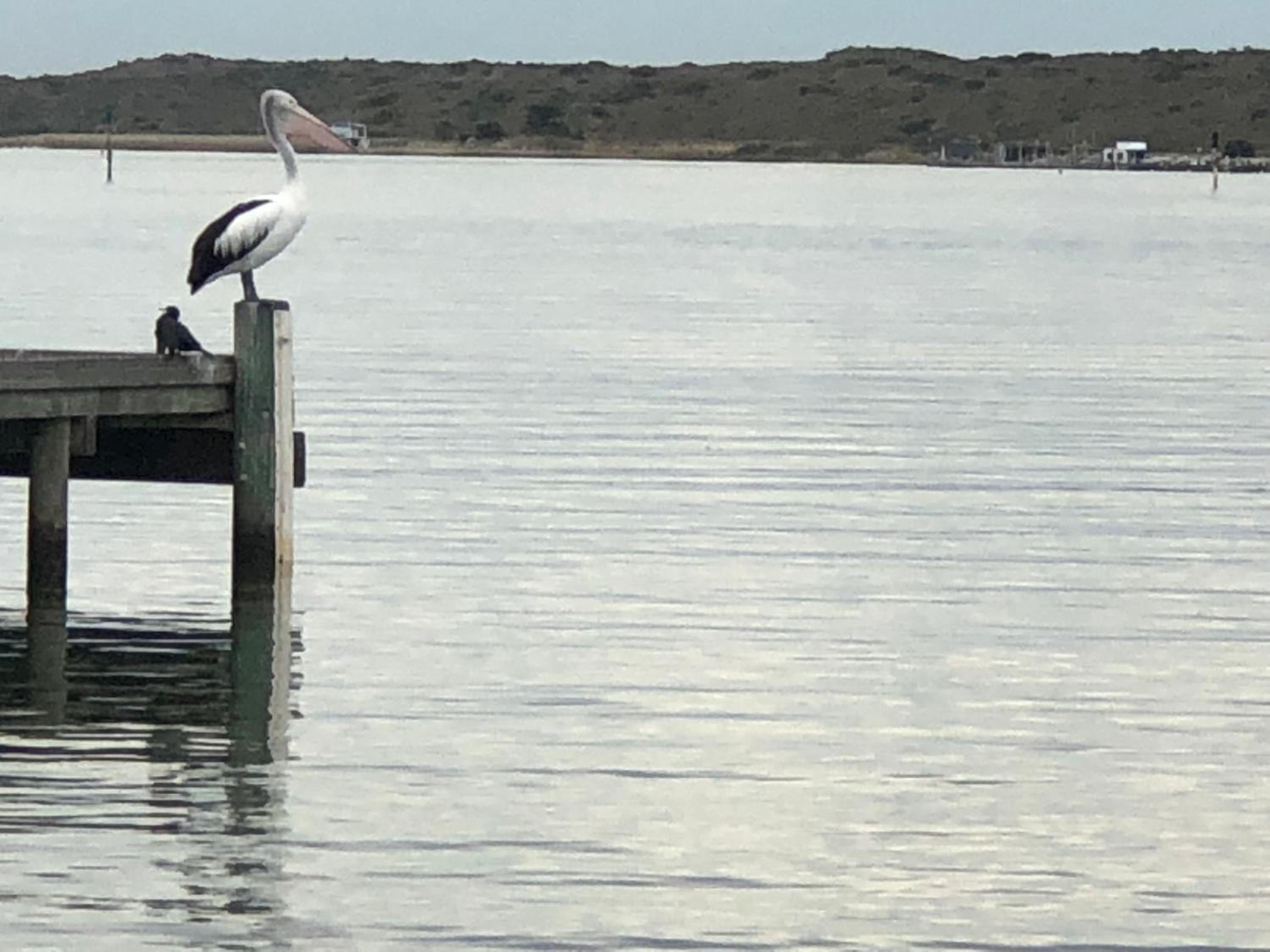 Goolwa Mariner’s Cottage - Free Wifi and Pet Friendly - Centrally located in Historic Region