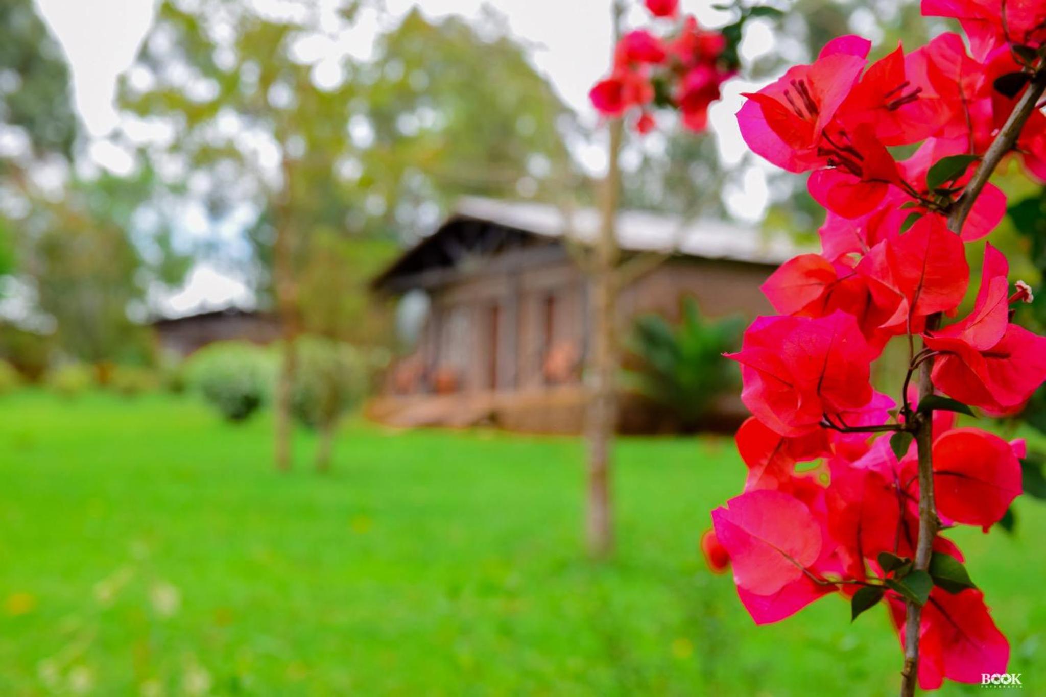 Hotel Las Azaleas