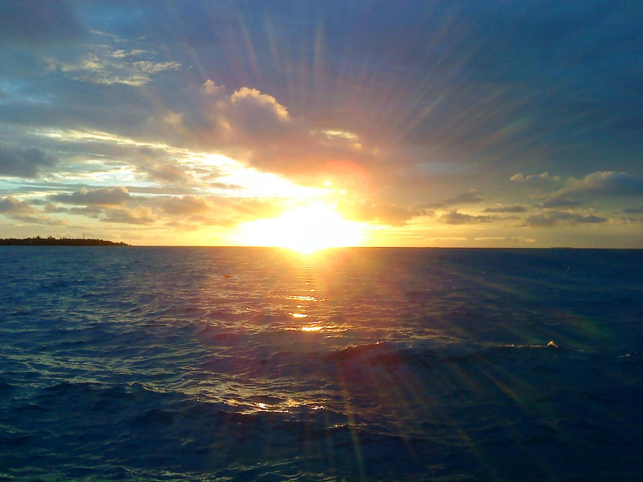 Photo 31