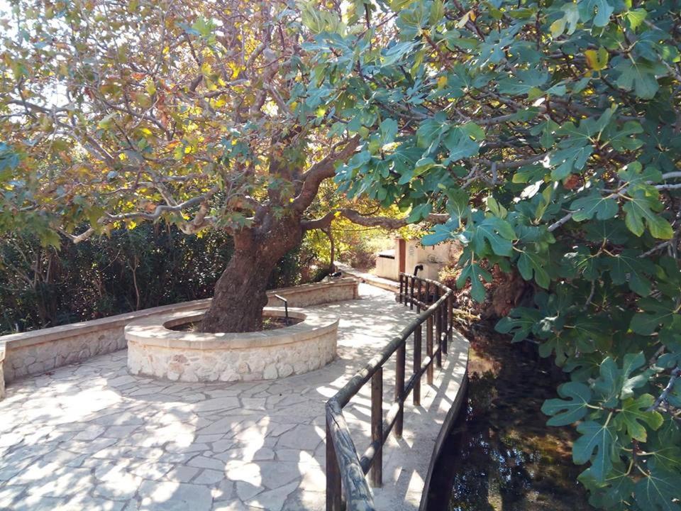 Photo 17