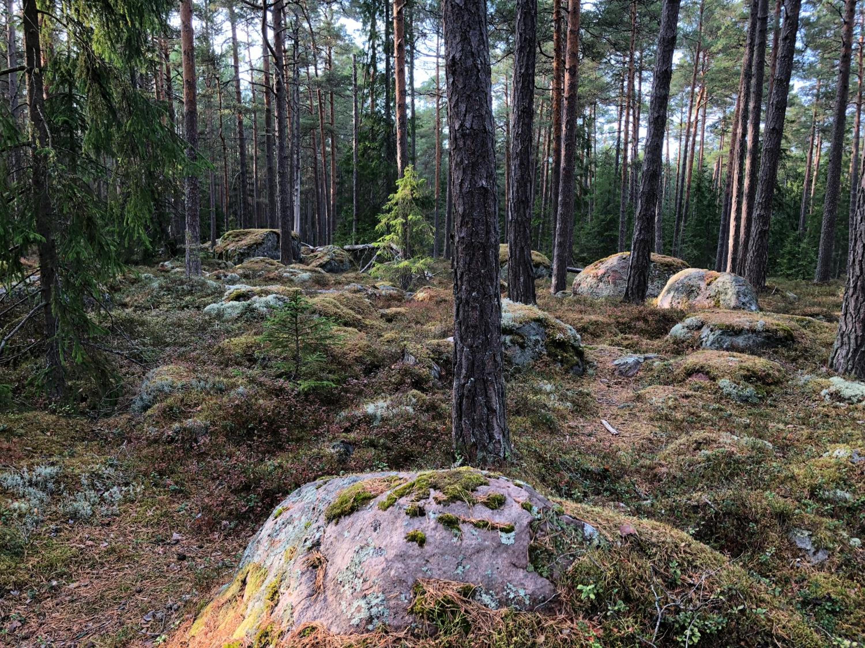Photo 40