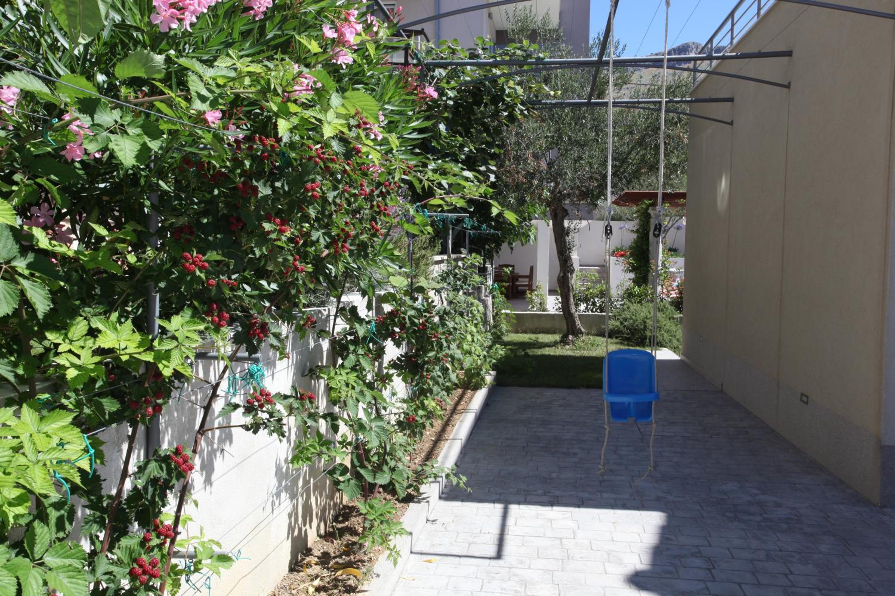 Photo 9