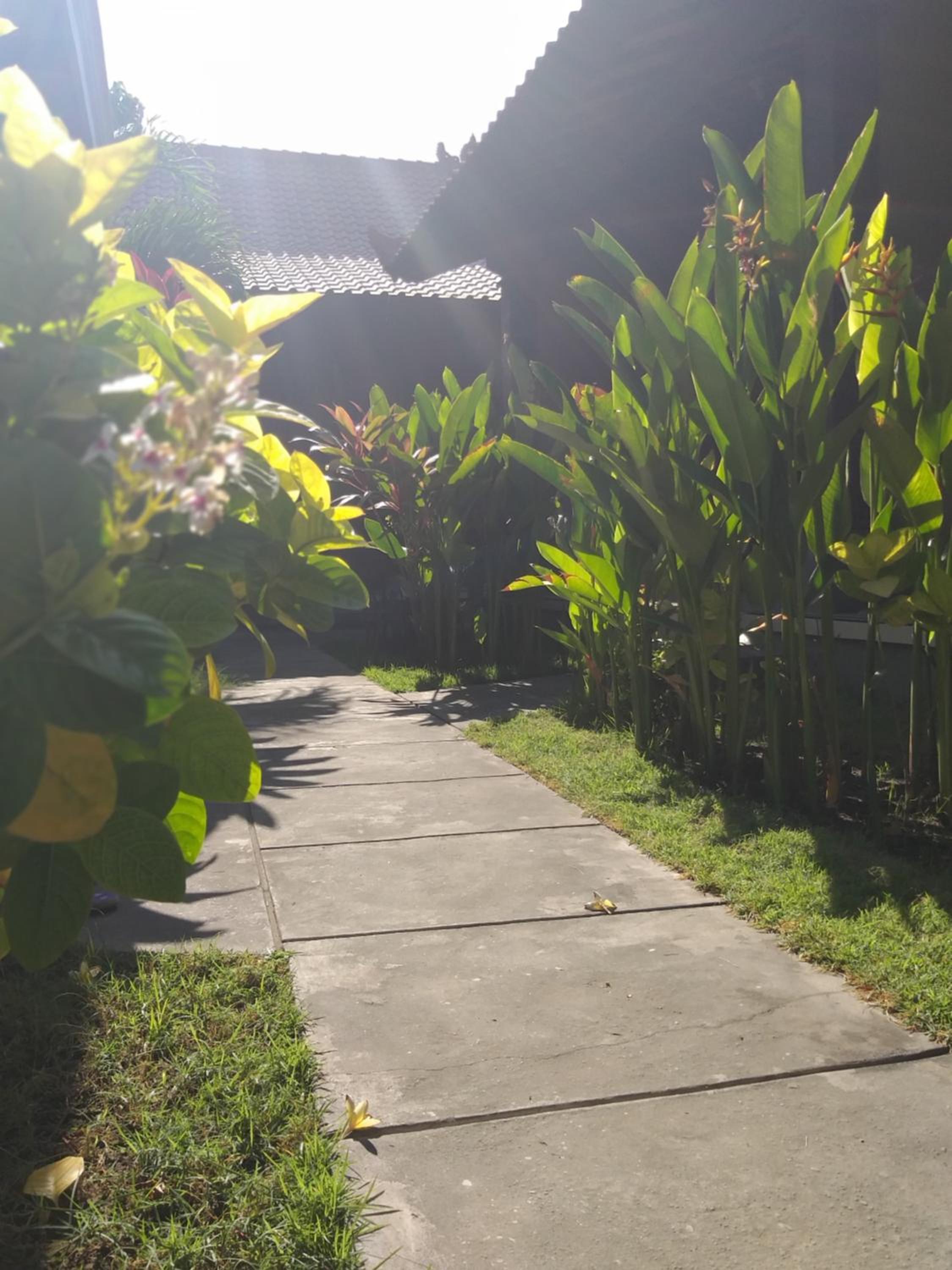 Griya Ayu Homestay Pemuteran view 3