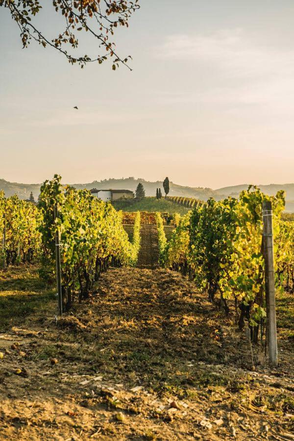 Cascina Longoria view 2
