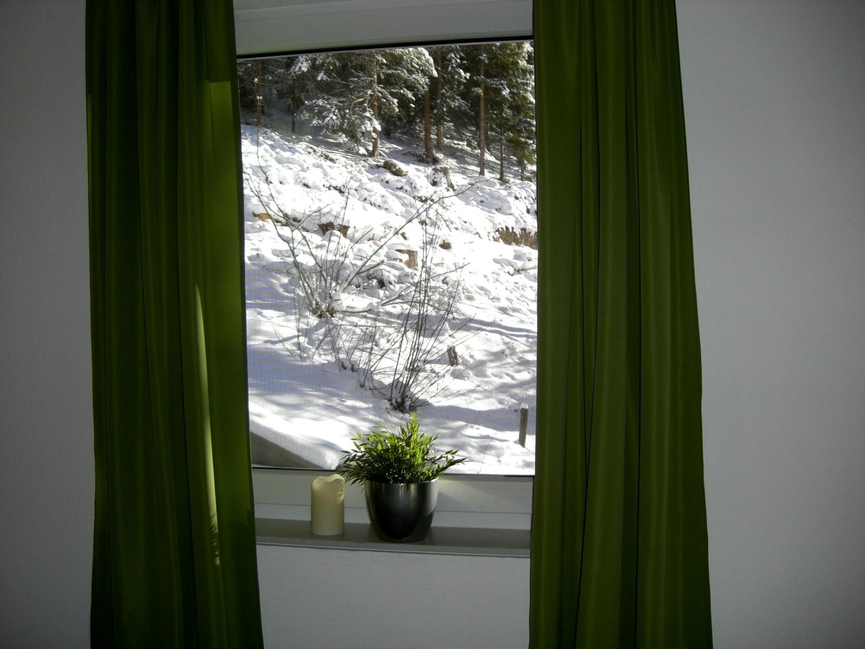 Alpine Appartement view 4