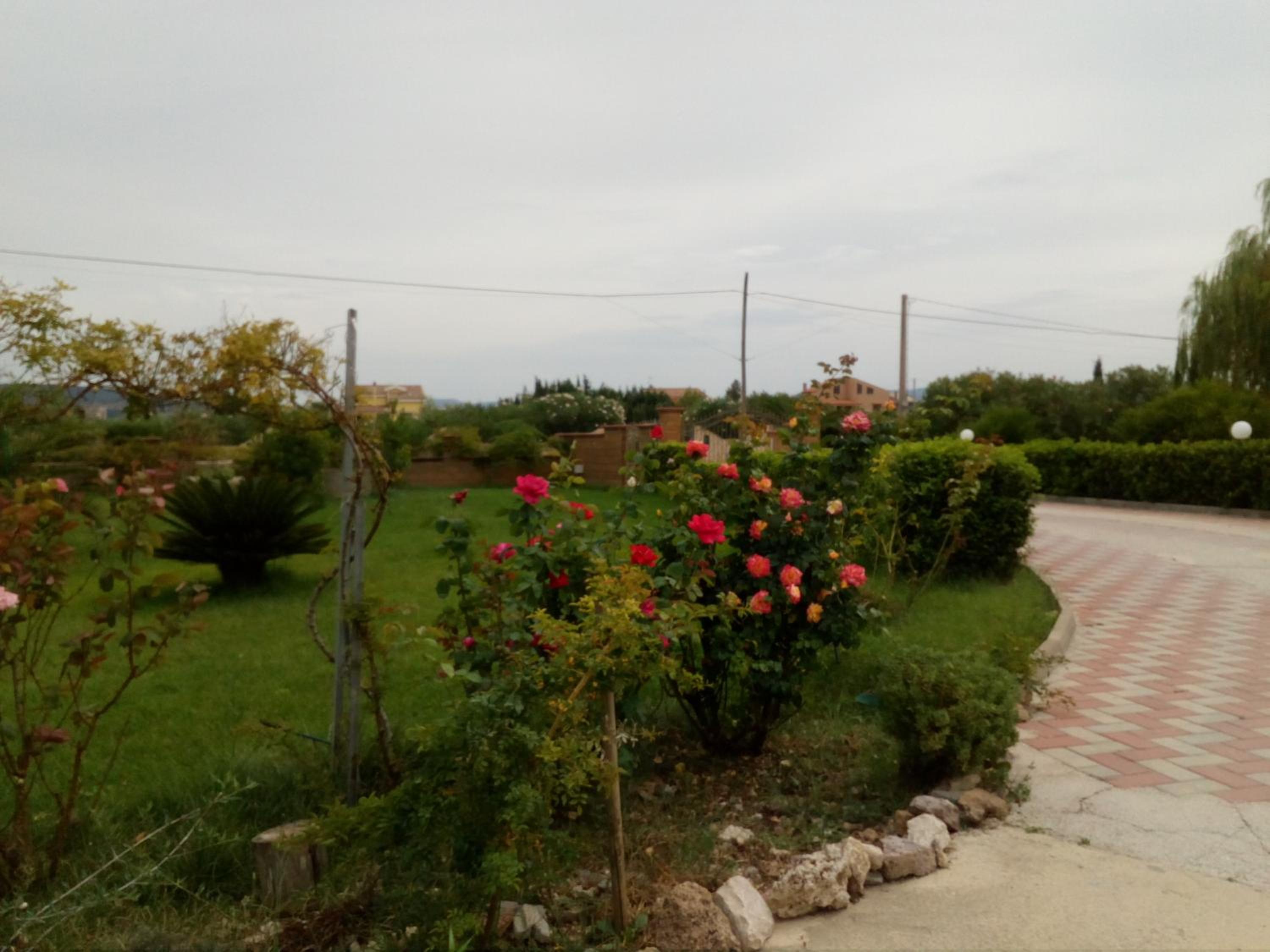 Photo 34