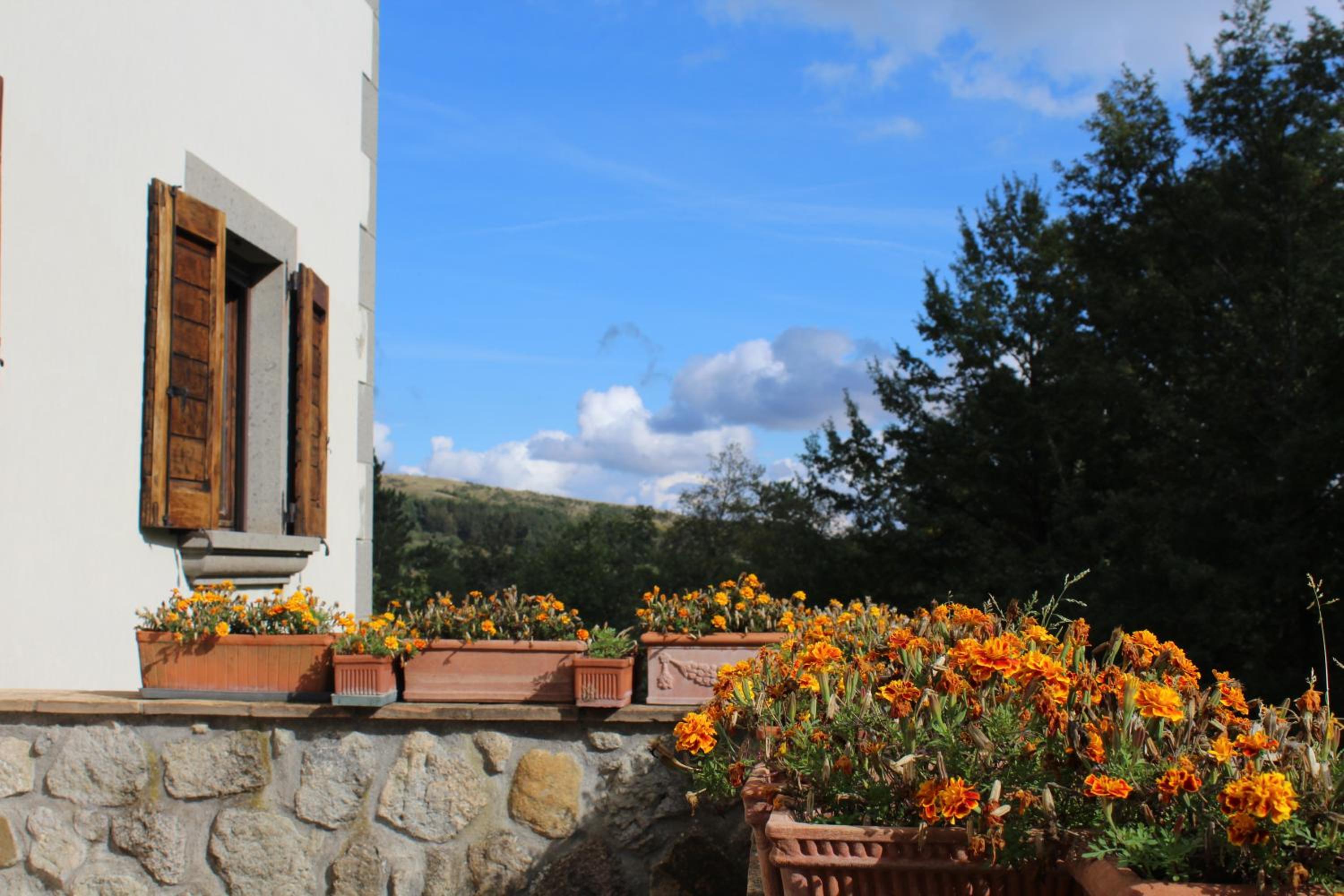 agriturismo trefossata view 3