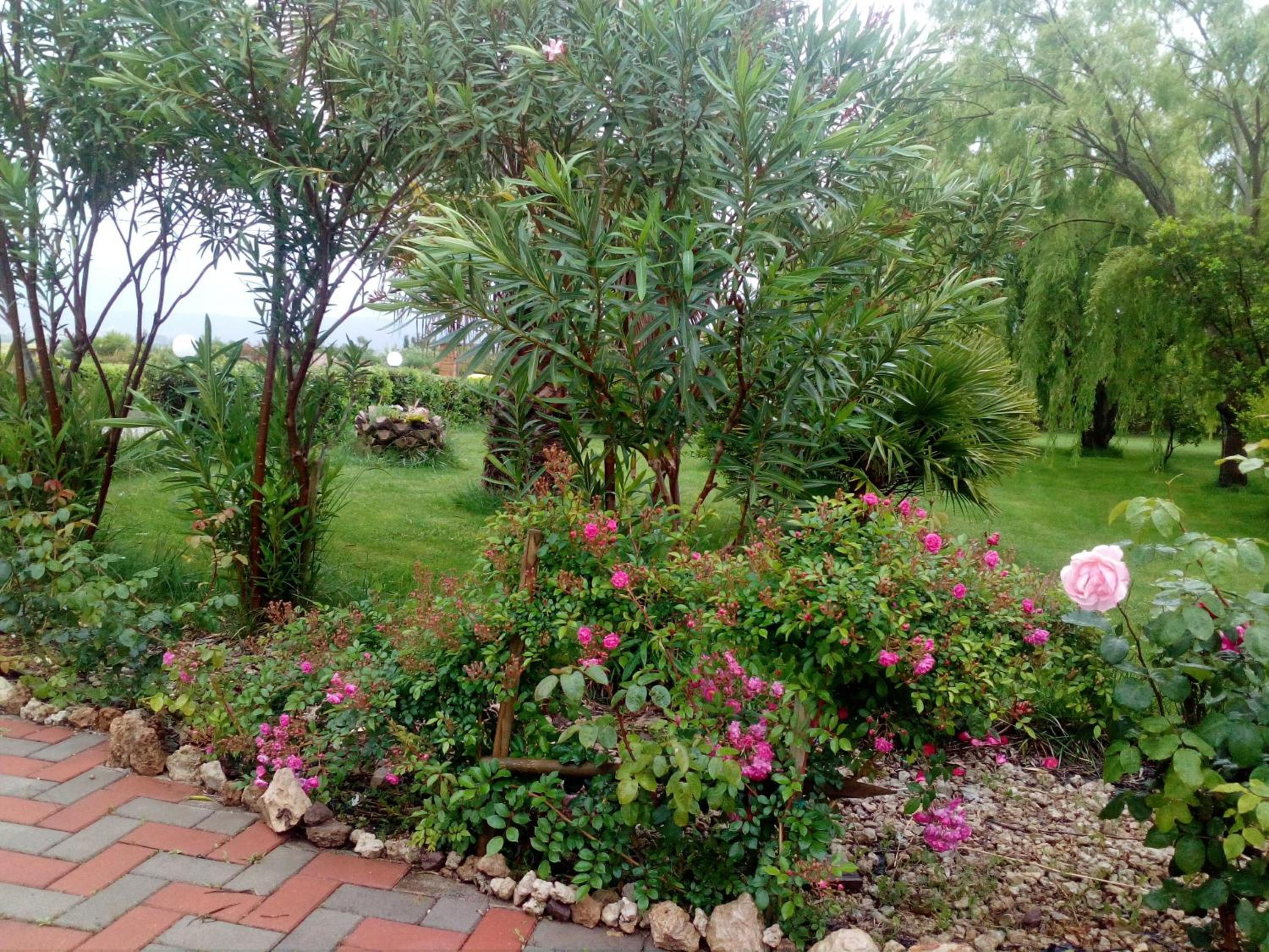 Photo 25