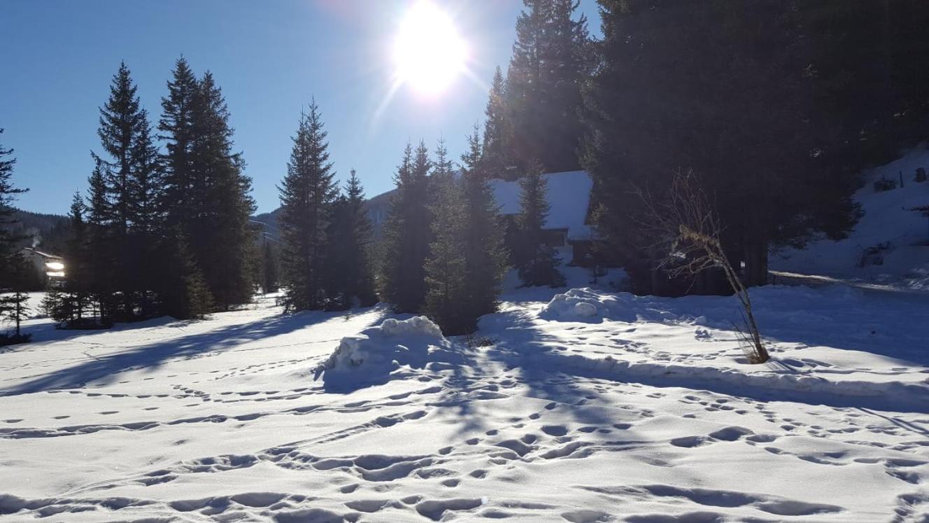 Auszeithütte